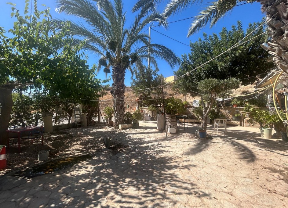 Venta - Finca Propiedad rural -
Crevillente