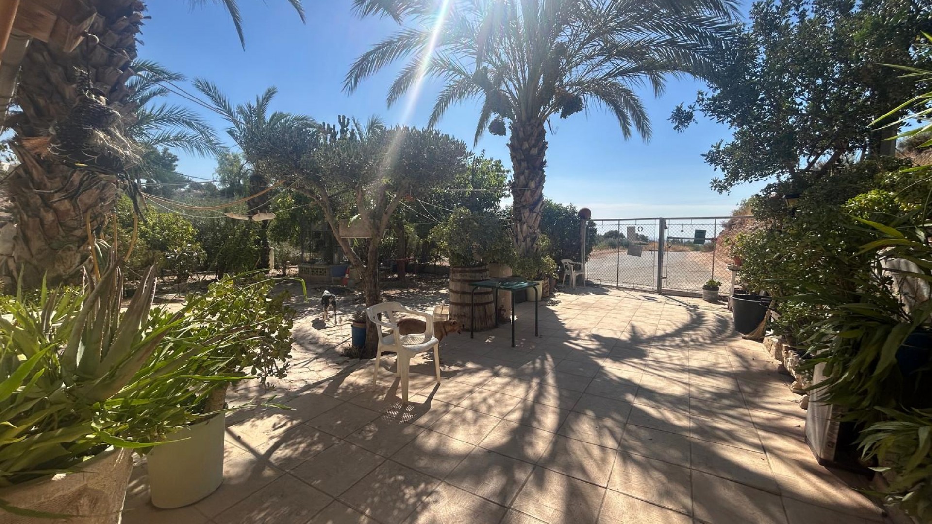 Venta - Finca Propiedad rural -
Crevillente