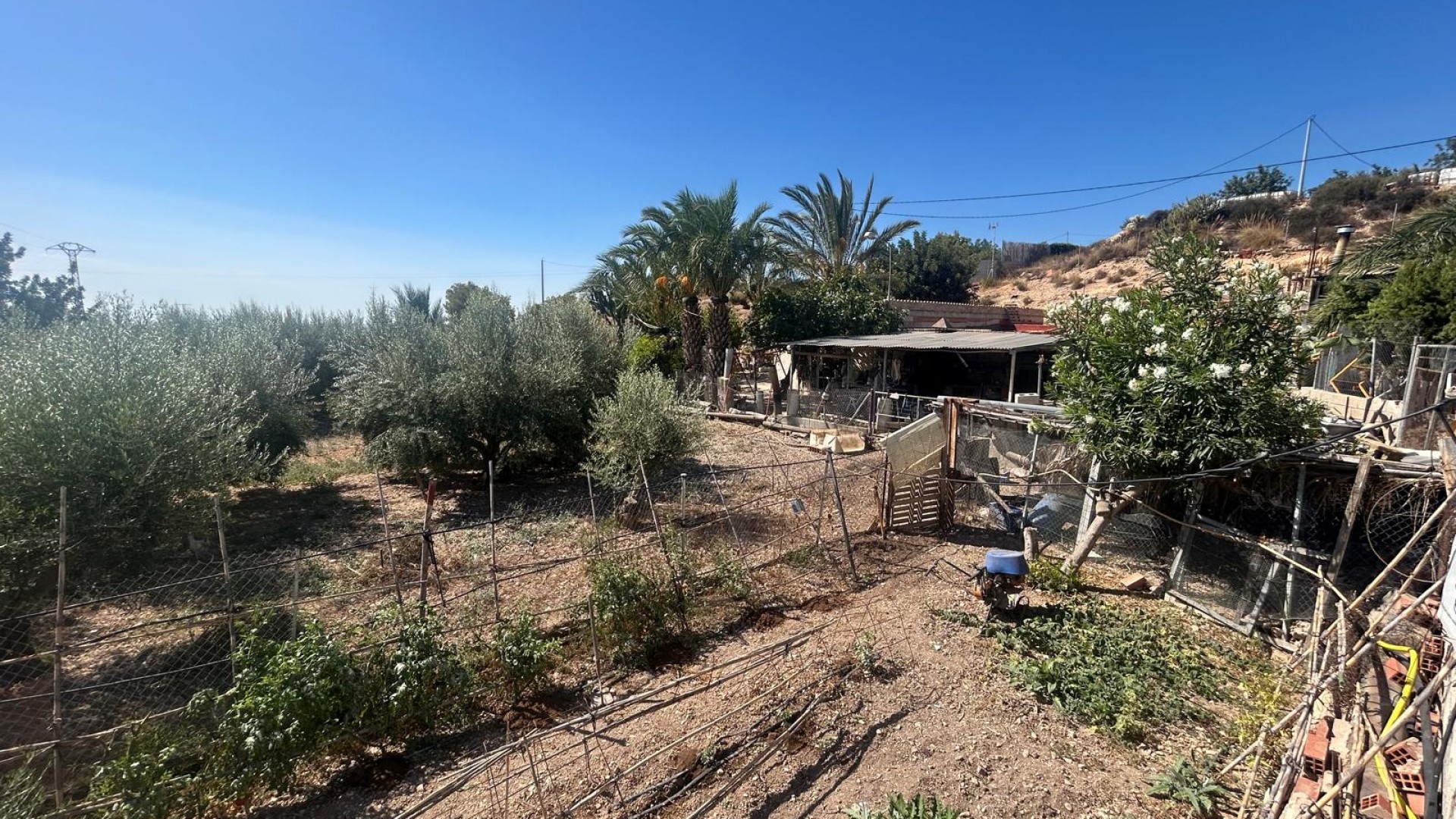 Venta - Finca Propiedad rural -
Crevillente