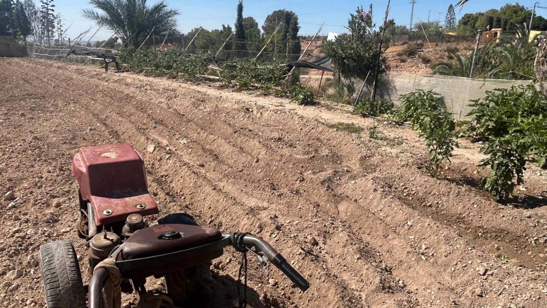 Venta - Finca Propiedad rural -
Crevillente