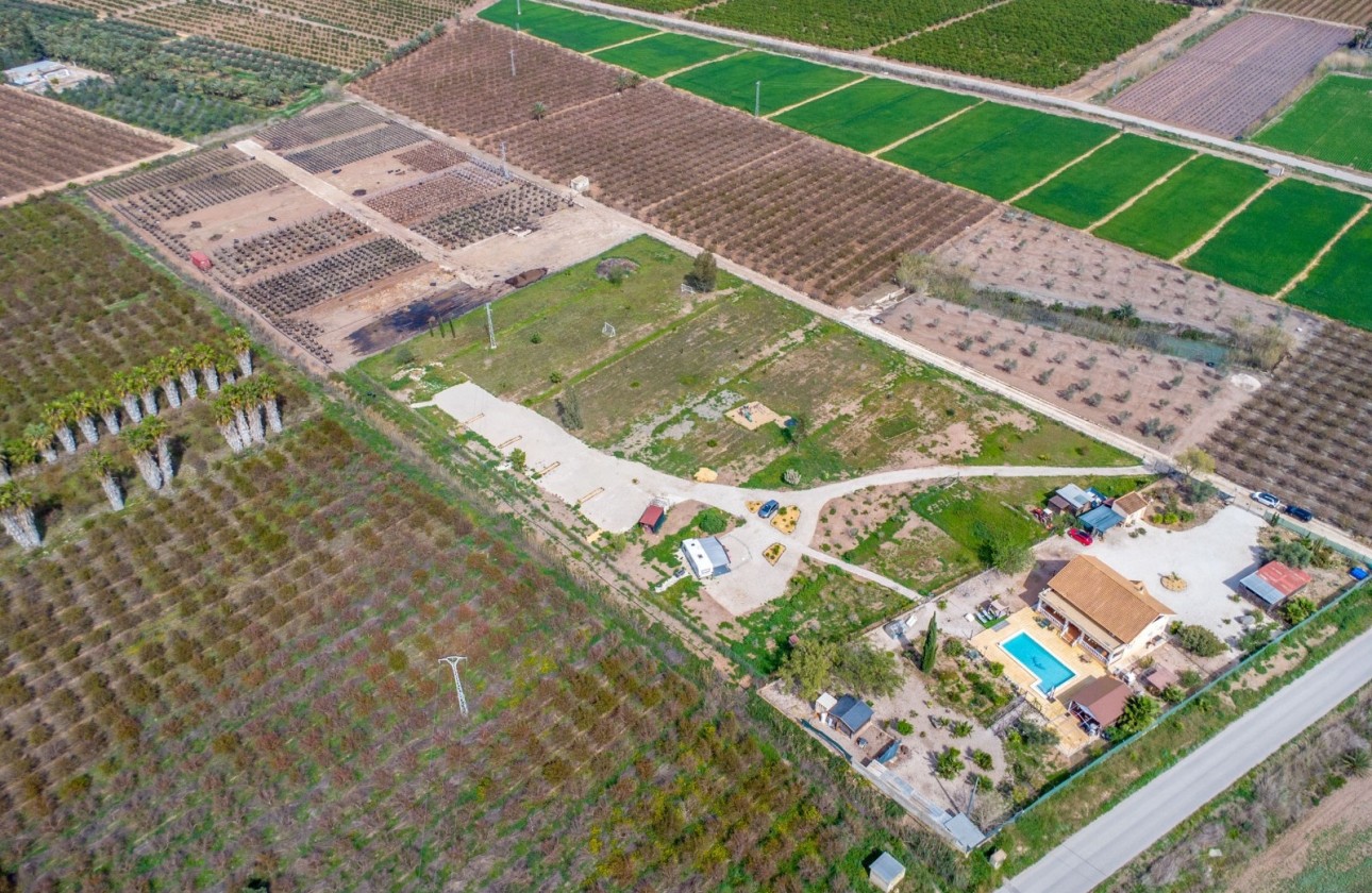 Venta - Finca Propiedad rural -
Crevillente