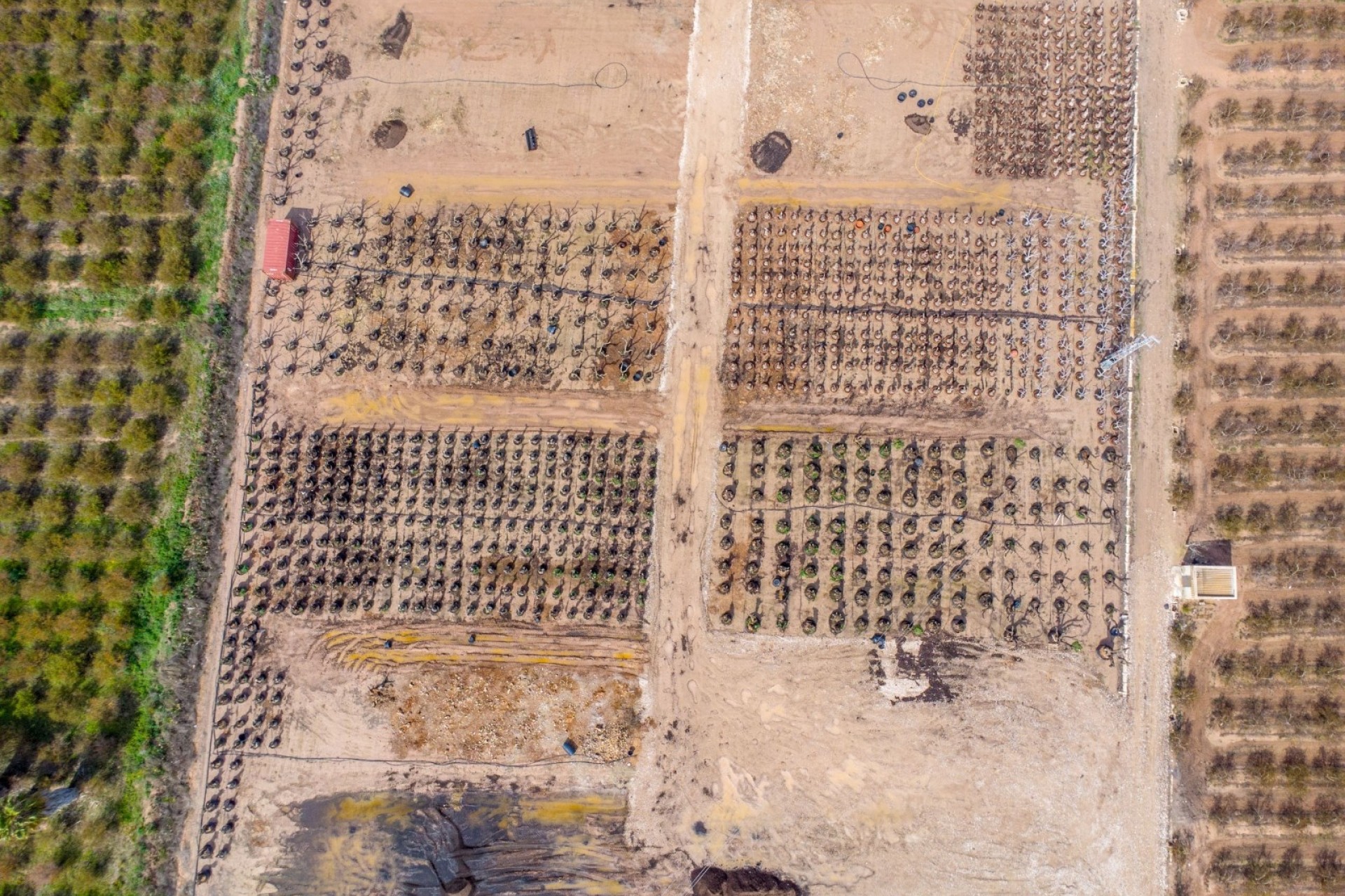 Venta - Finca Propiedad rural -
Crevillente