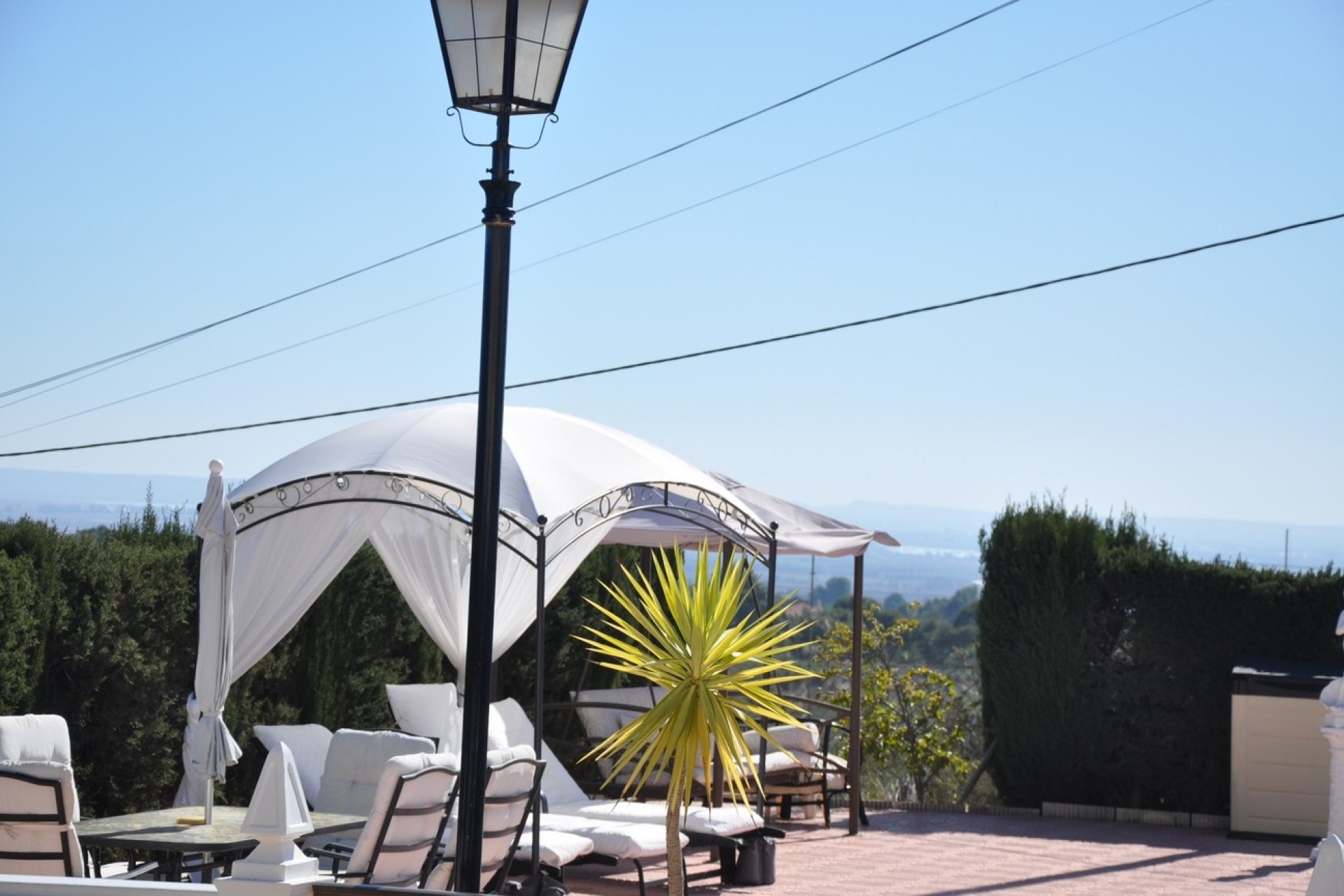 Venta - Finca Propiedad rural -
Crevillente