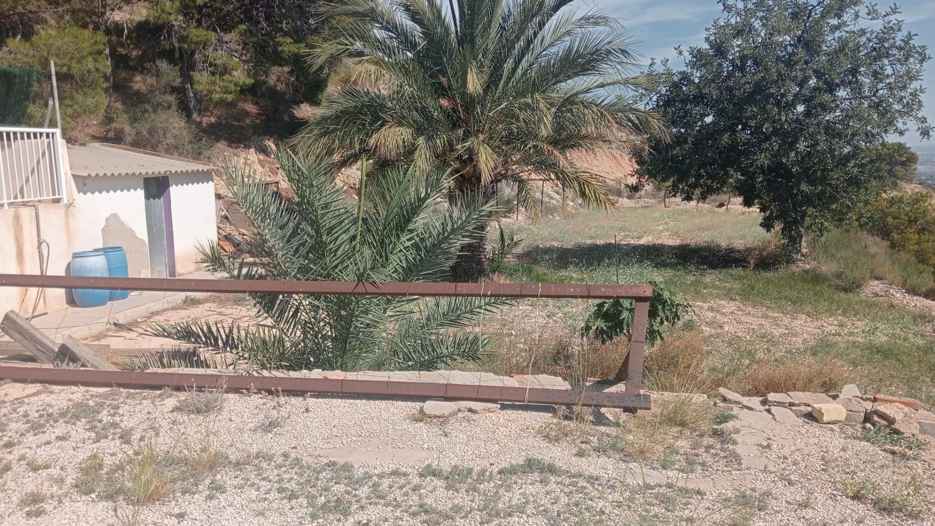 Venta - Finca Propiedad rural -
Crevillente