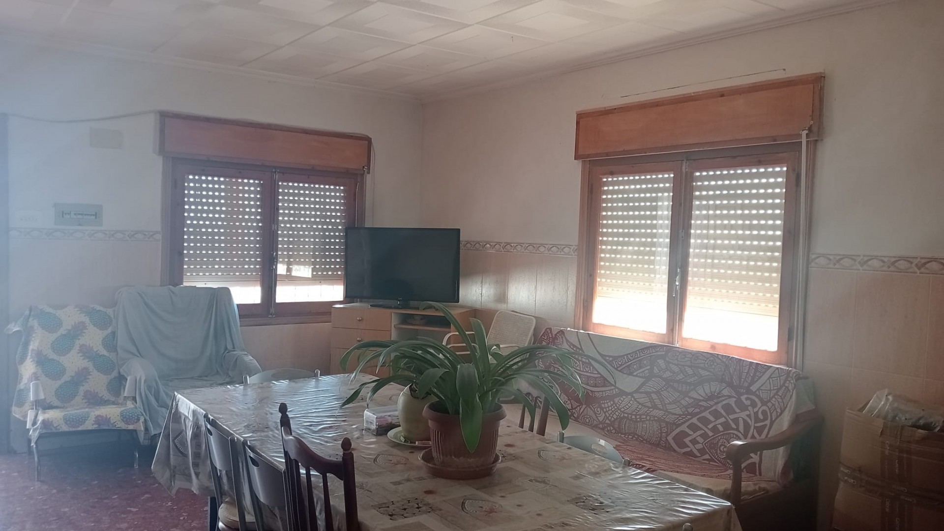 Venta - Finca Propiedad rural -
Crevillente