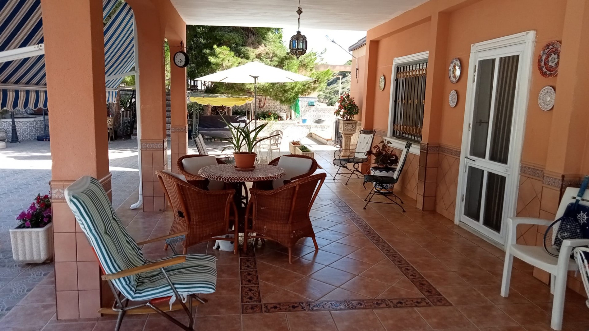 Venta - Finca Propiedad rural -
Crevillente