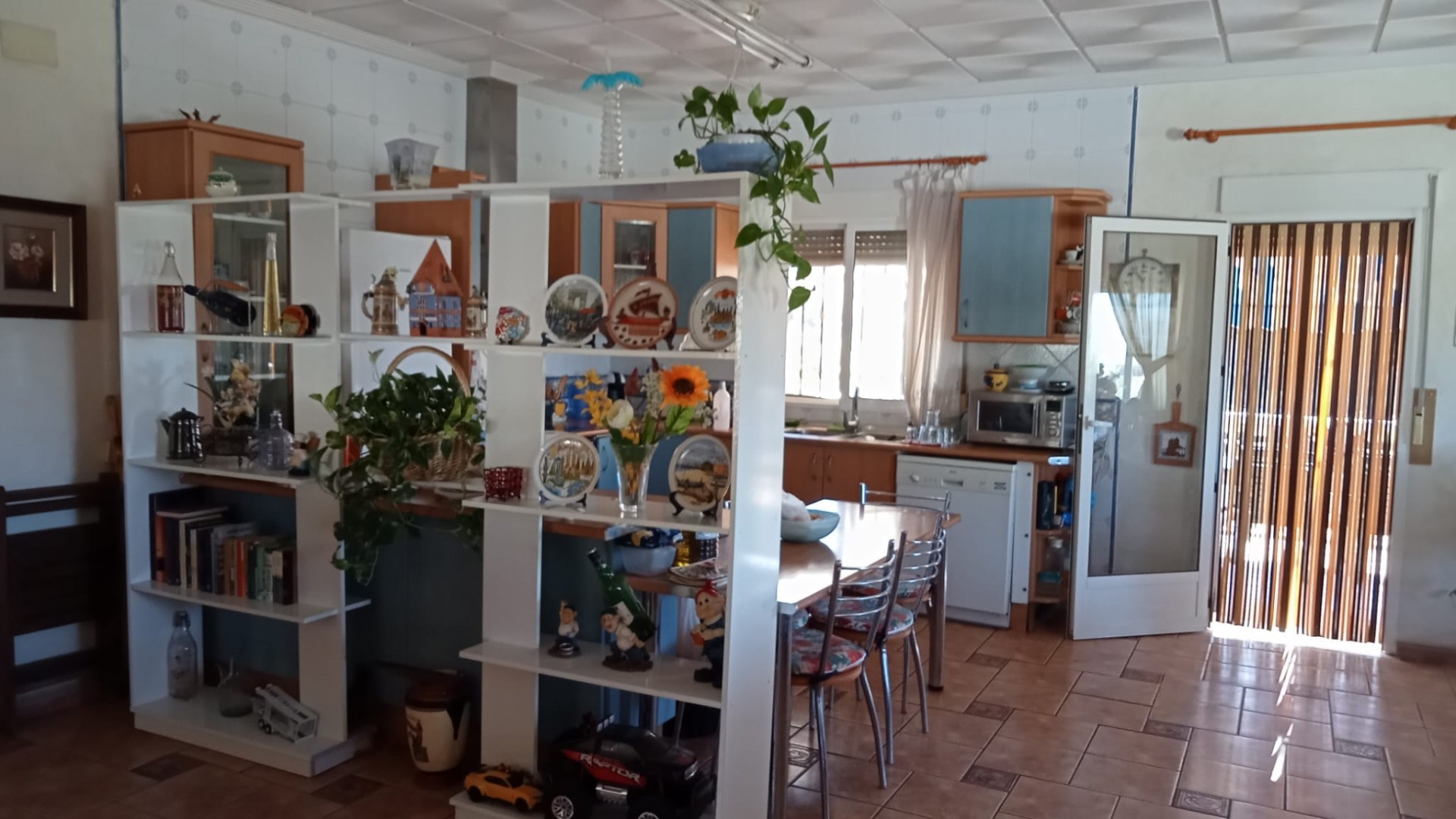 Venta - Finca Propiedad rural -
Crevillente