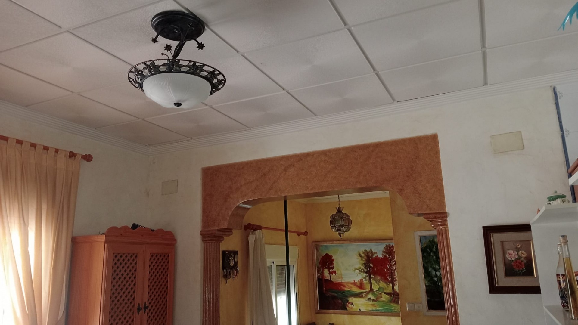 Venta - Finca Propiedad rural -
Crevillente