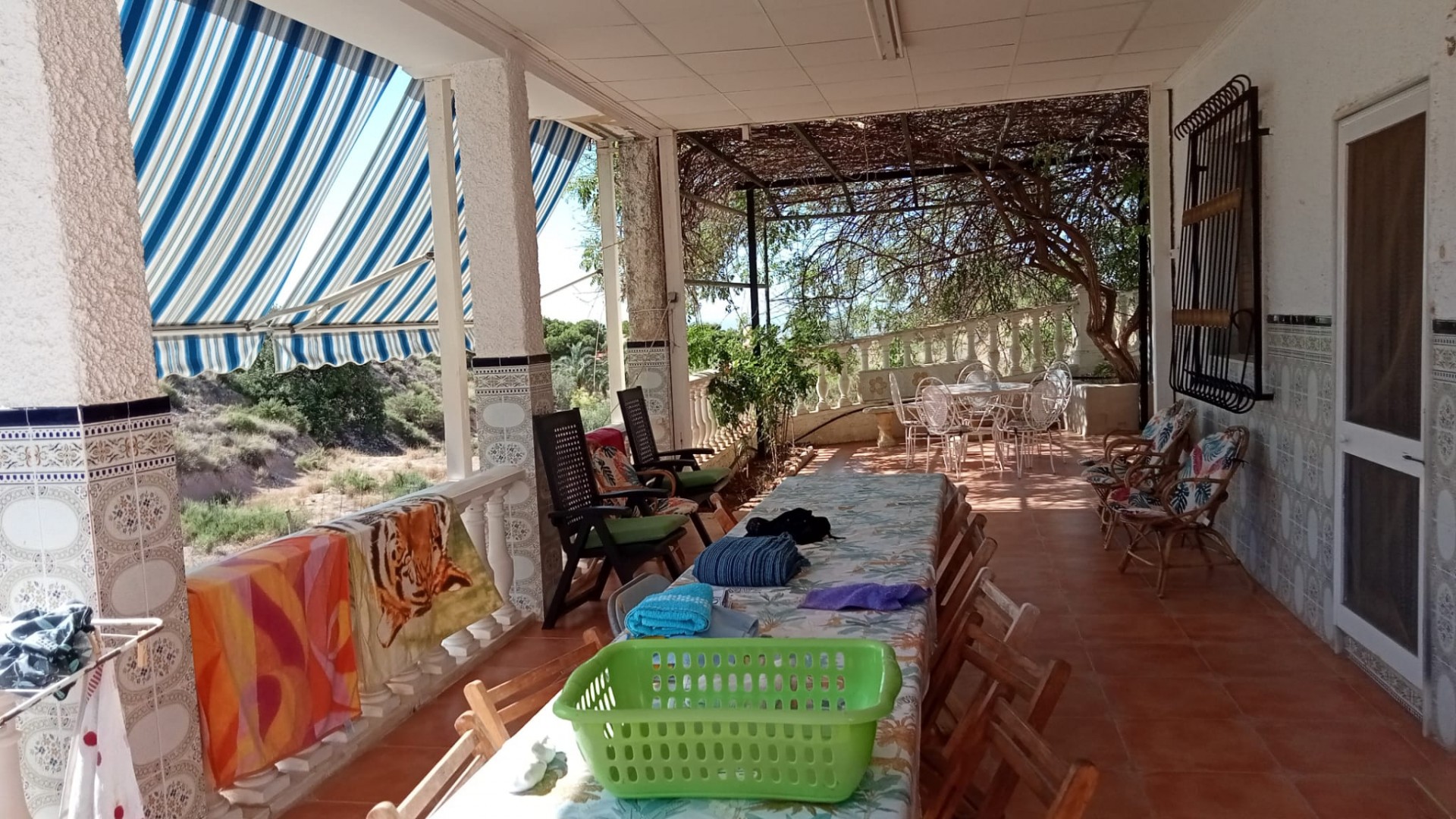 Venta - Finca Propiedad rural -
Crevillente