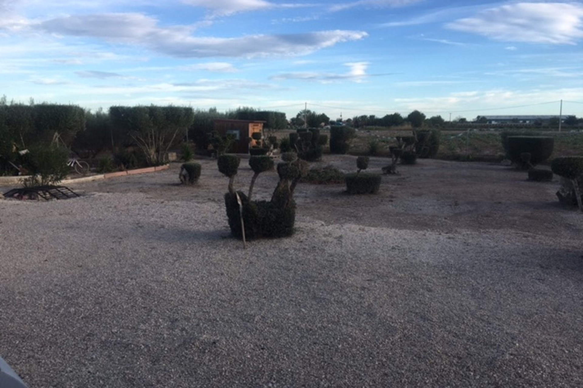 Venta - Finca Propiedad rural -
Dolores