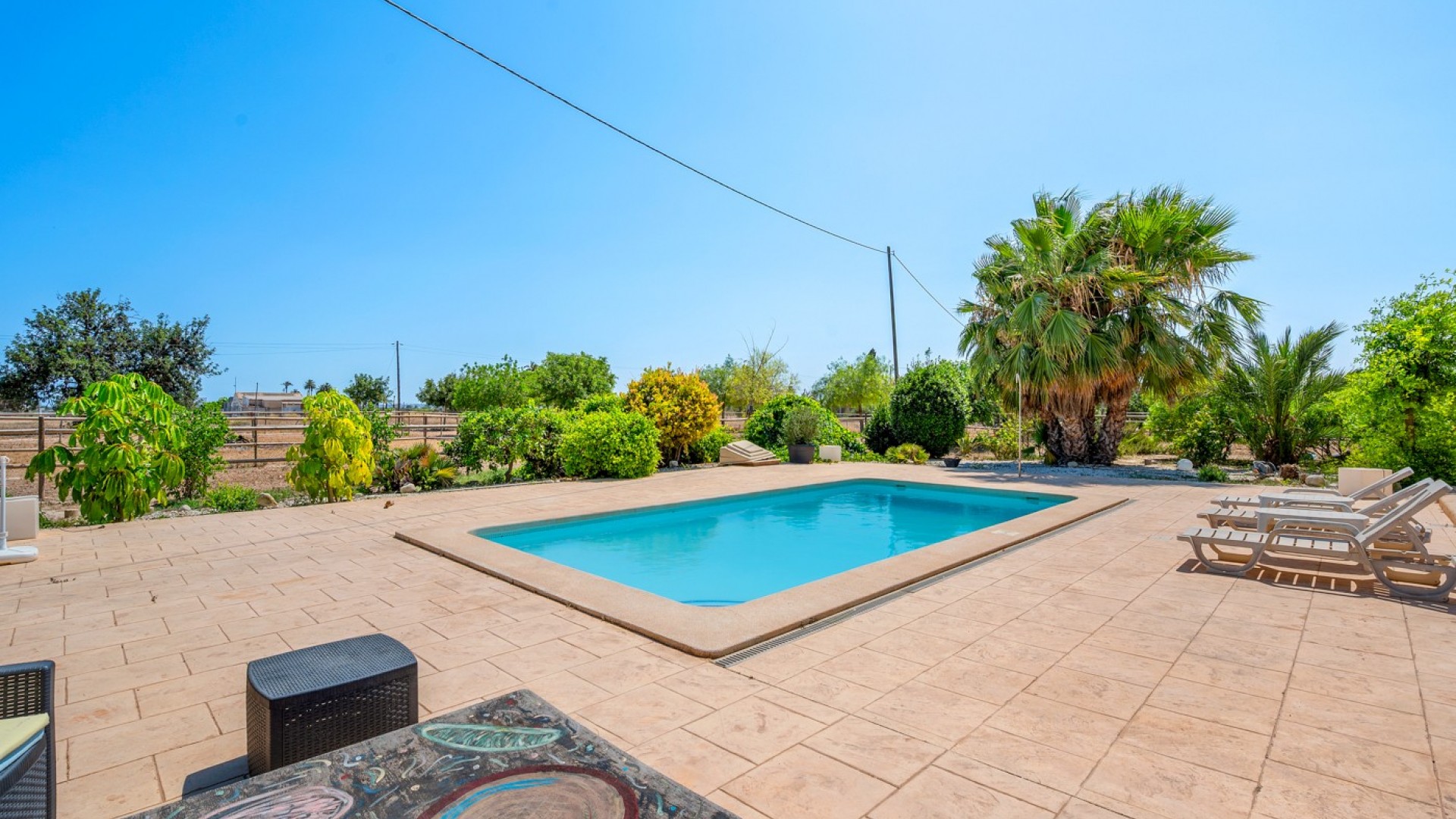 Venta - Finca Propiedad rural -
Elche - Elche/Elx