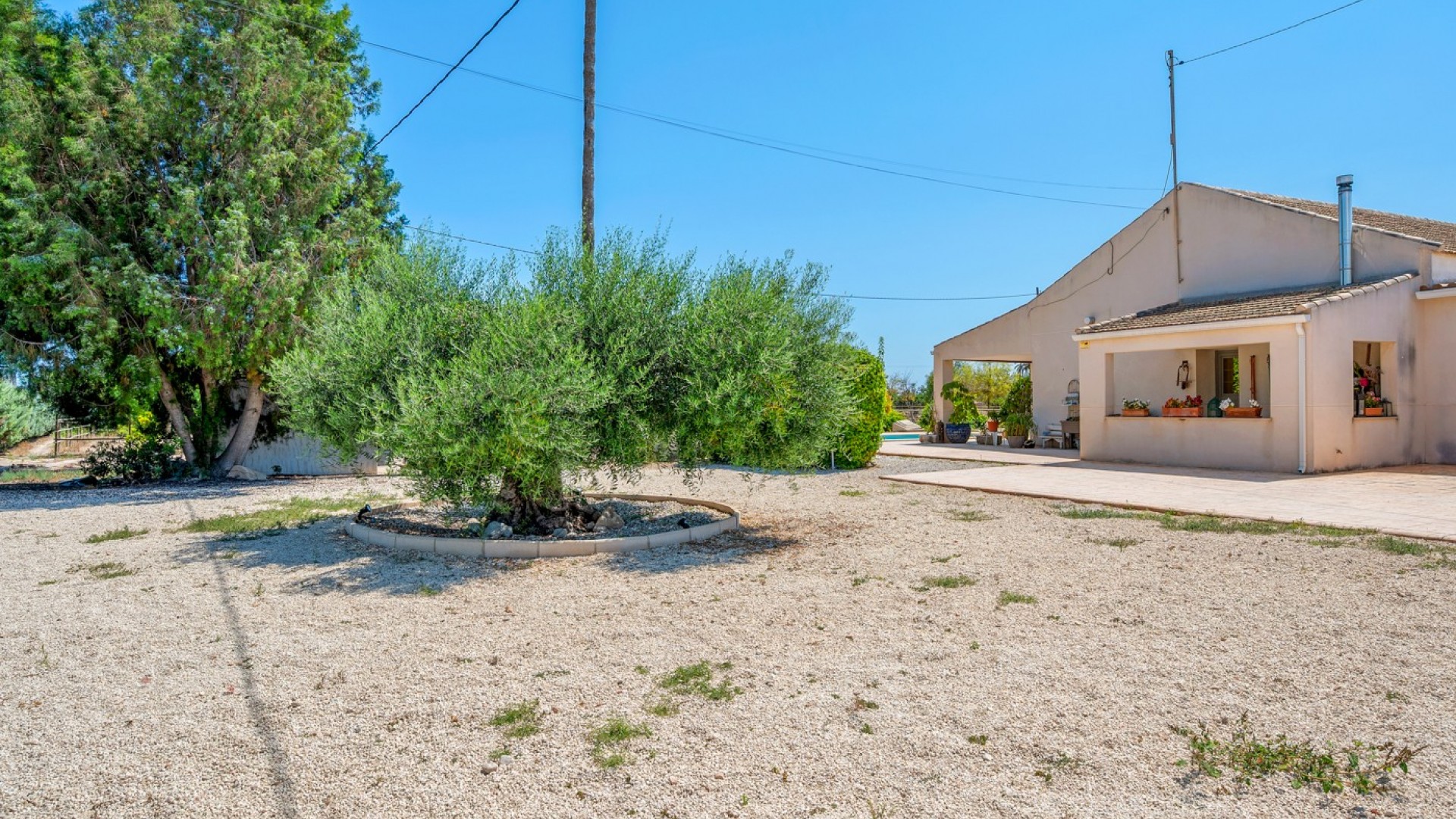 Venta - Finca Propiedad rural -
Elche - Elche/Elx