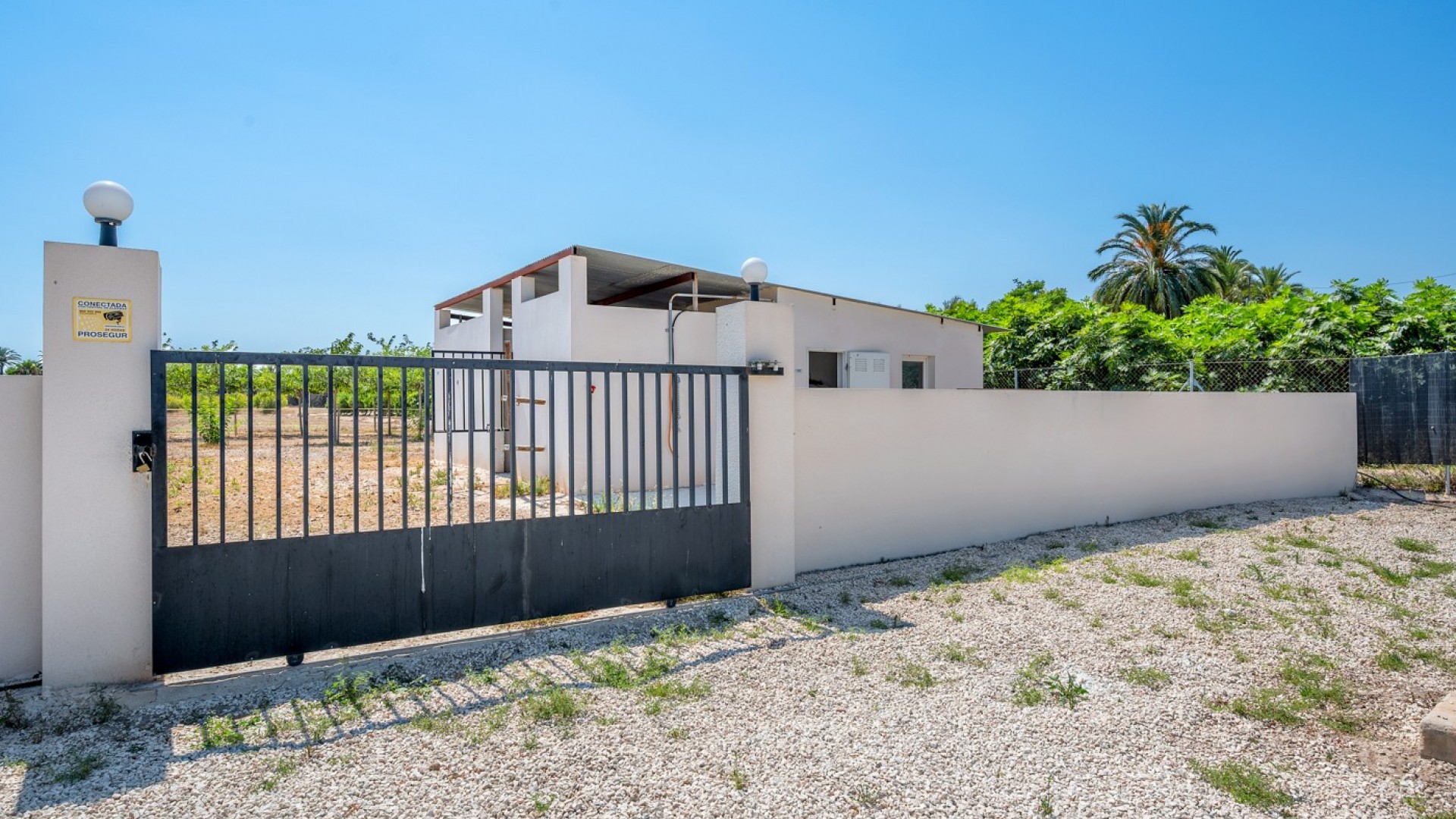 Venta - Finca Propiedad rural -
Elche - Elche/Elx