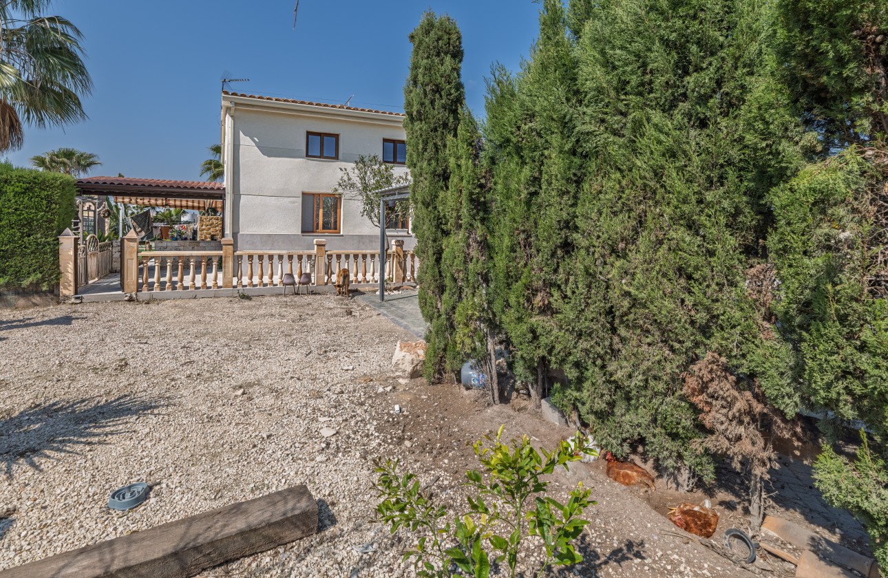 Venta - Finca Propiedad rural -
Elche Pedanías - Daimés