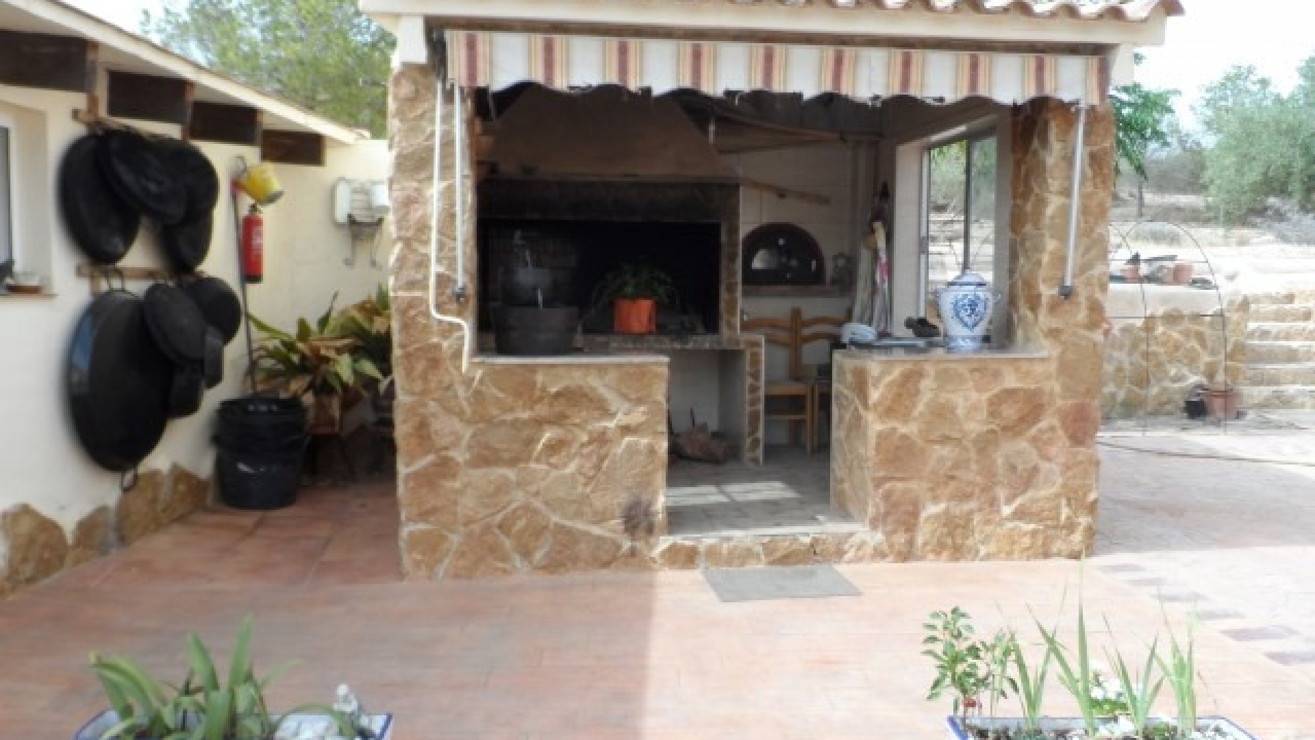 Venta - Finca Propiedad rural -
Elche