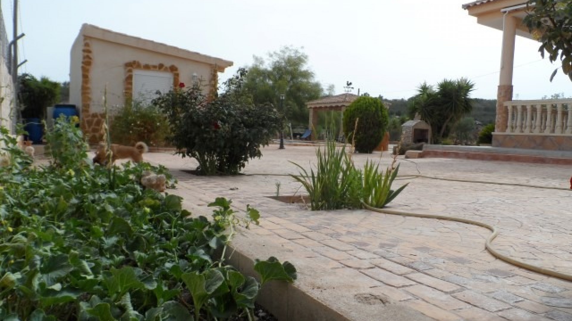 Venta - Finca Propiedad rural -
Elche
