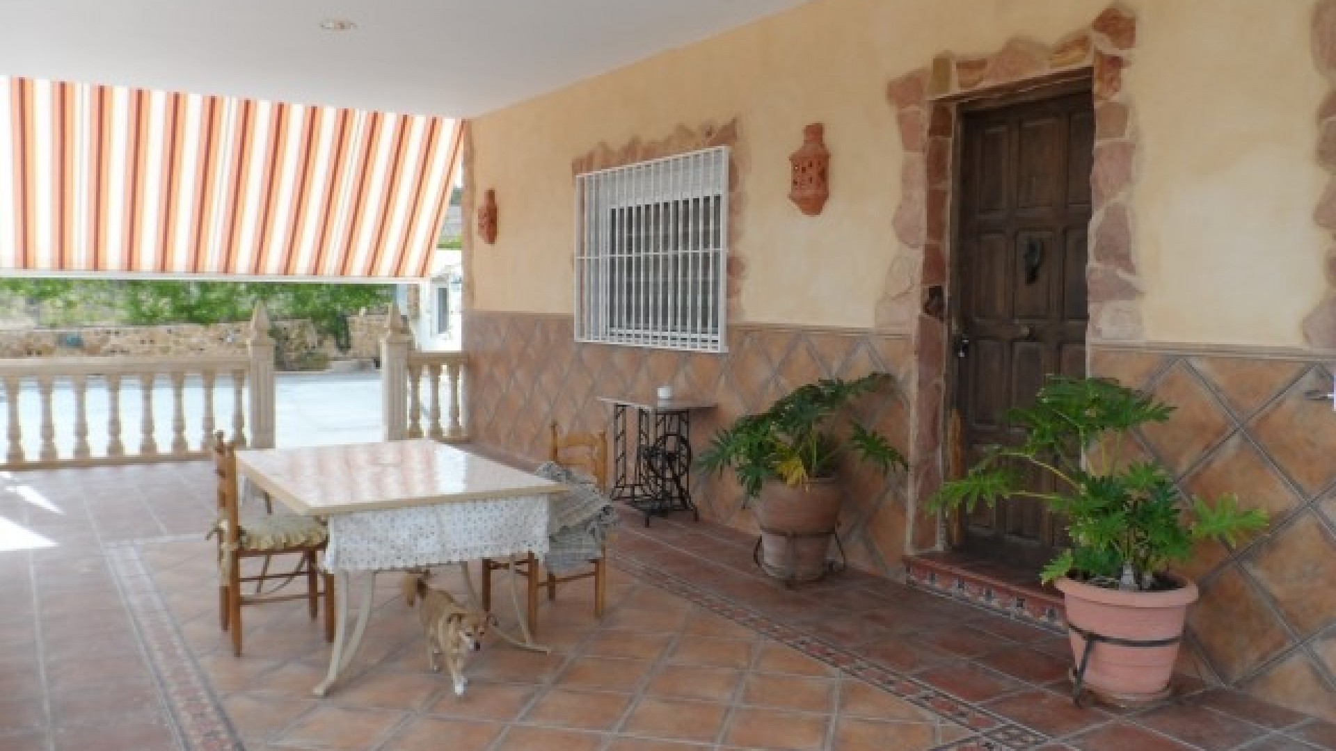 Venta - Finca Propiedad rural -
Elche