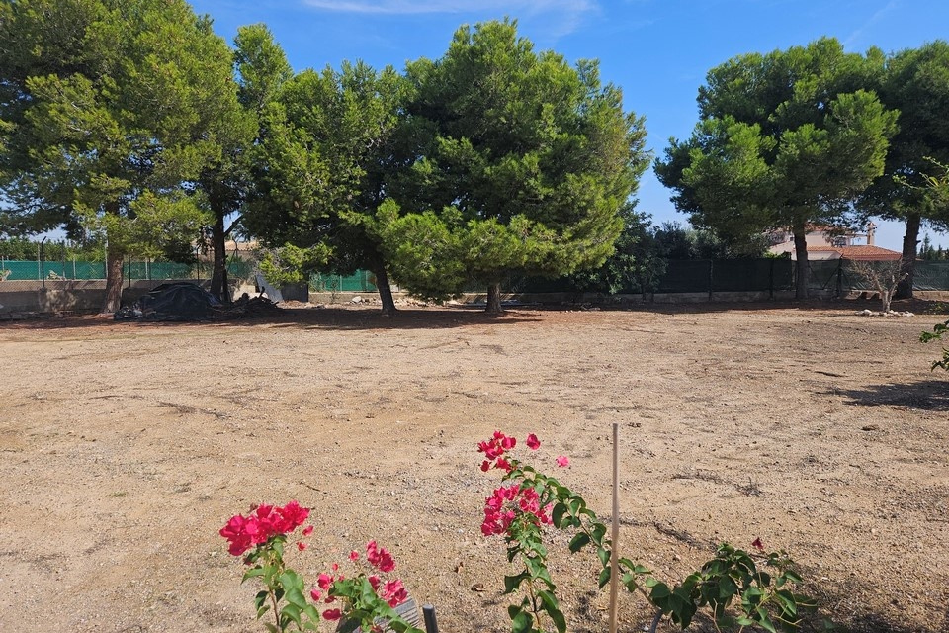 Venta - Finca Propiedad rural -
Elche