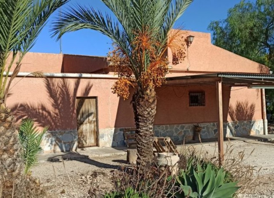 Venta - Finca Propiedad rural -
Elche
