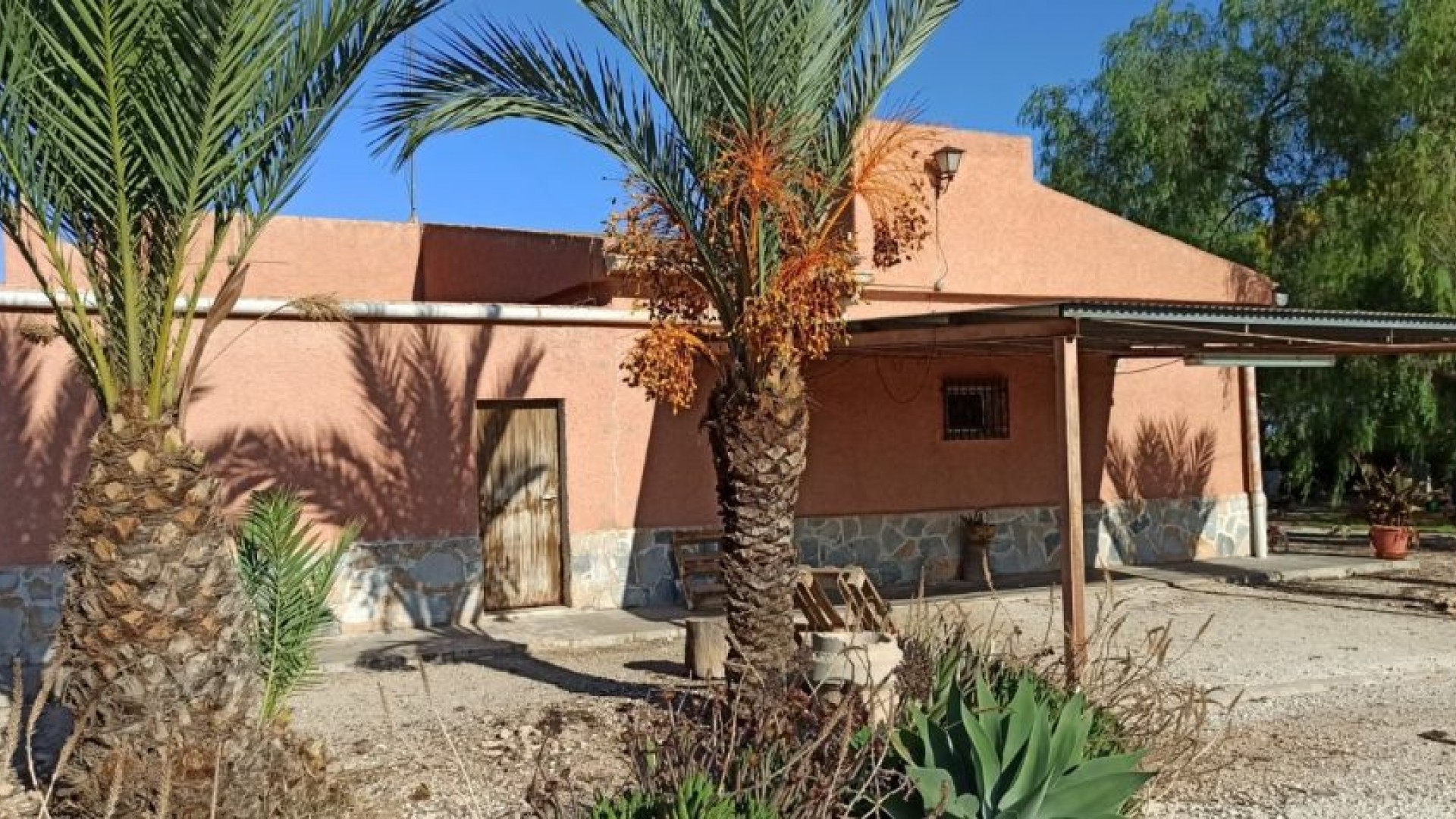 Venta - Finca Propiedad rural -
Elche