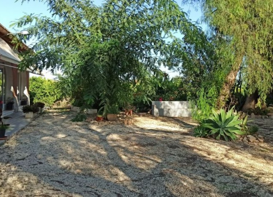 Venta - Finca Propiedad rural -
Elche