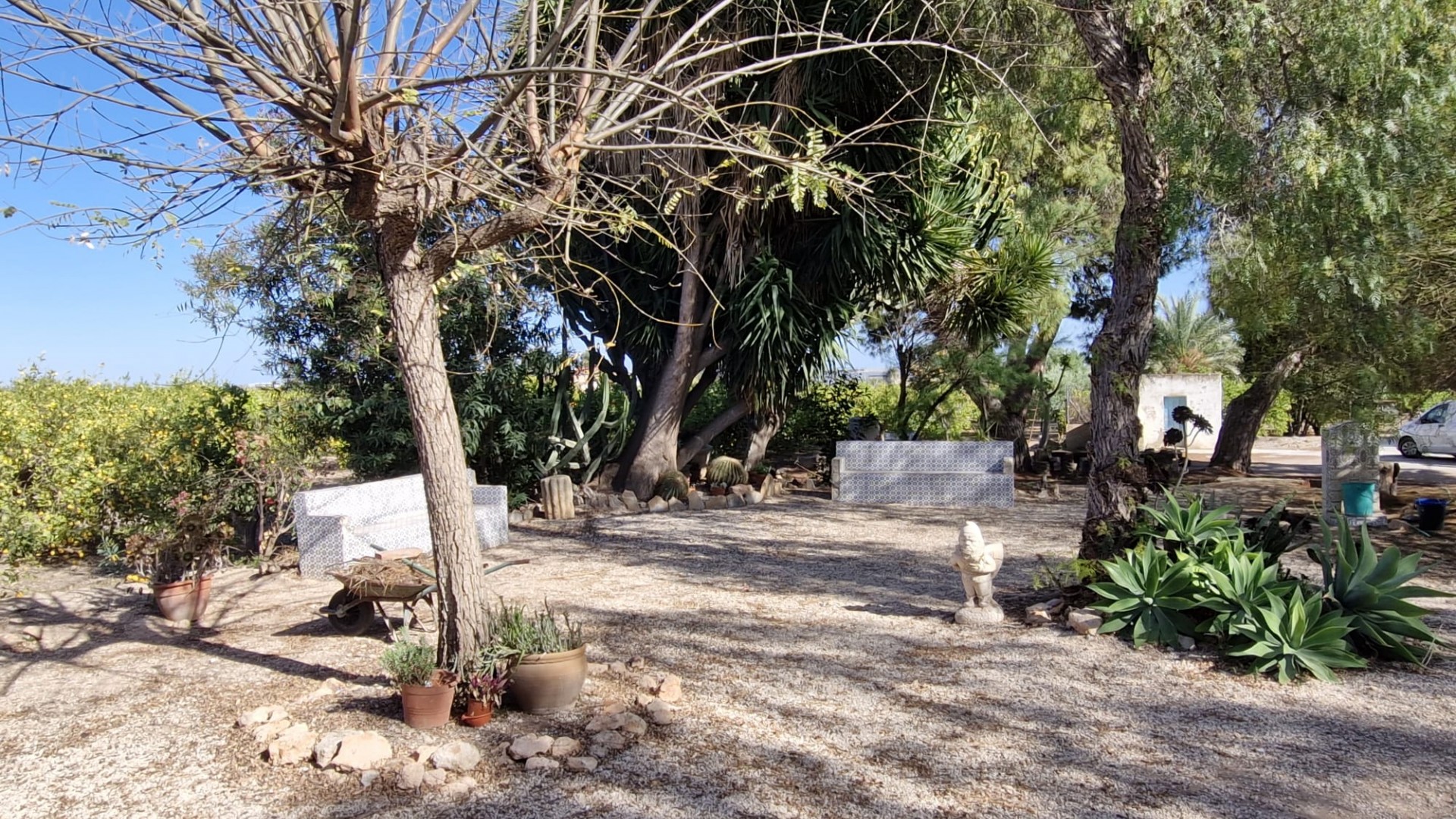 Venta - Finca Propiedad rural -
Elche