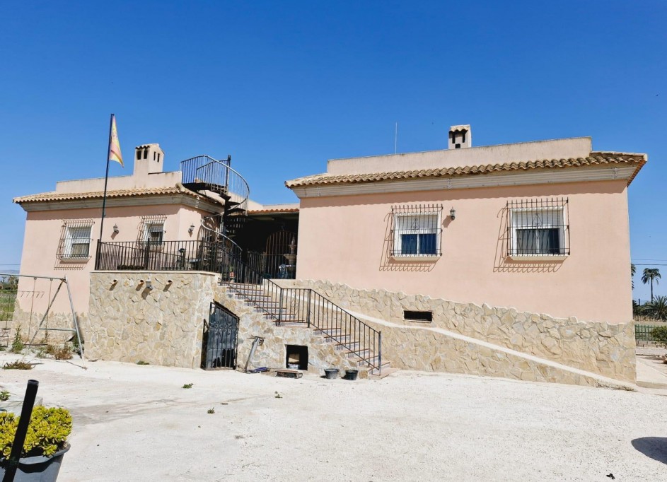 Venta - Finca Propiedad rural -
Elche