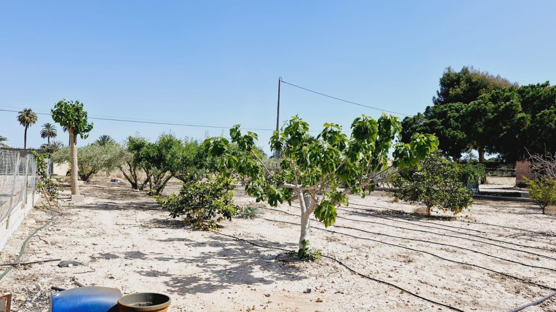 Venta - Finca Propiedad rural -
Elche