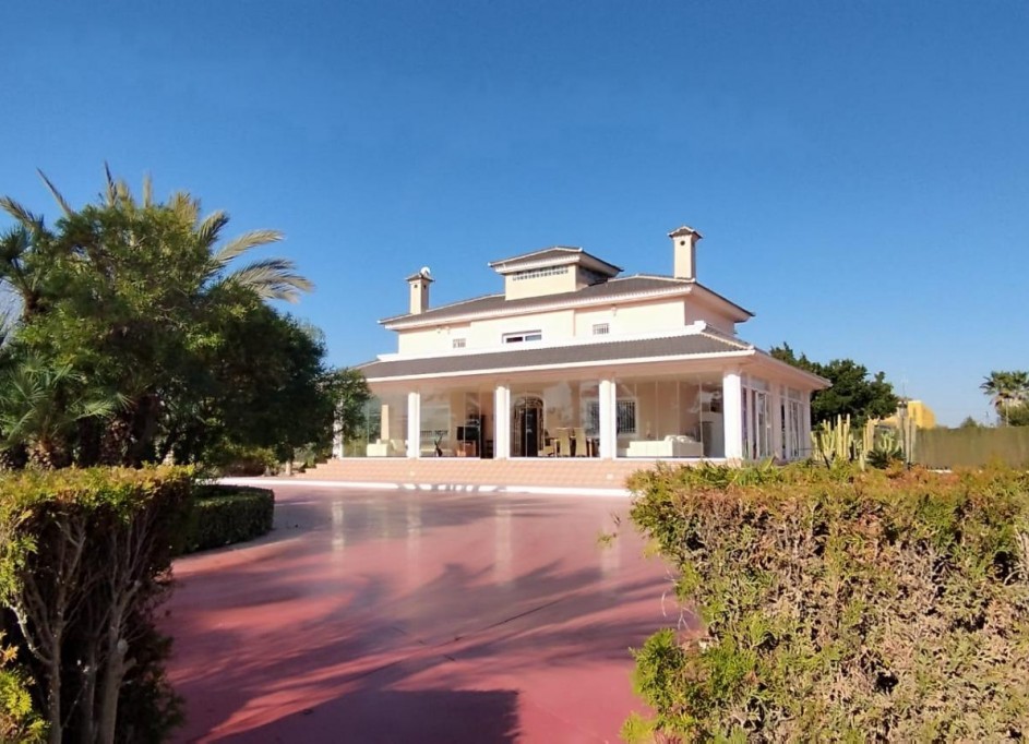 Venta - Finca Propiedad rural -
Elche