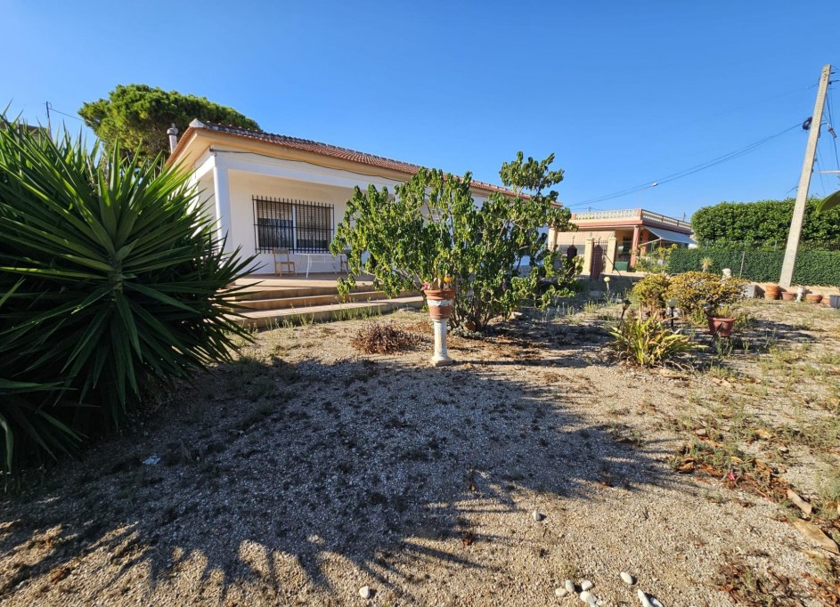 Venta - Finca Propiedad rural -
Guardamar del Segura - Buenavista