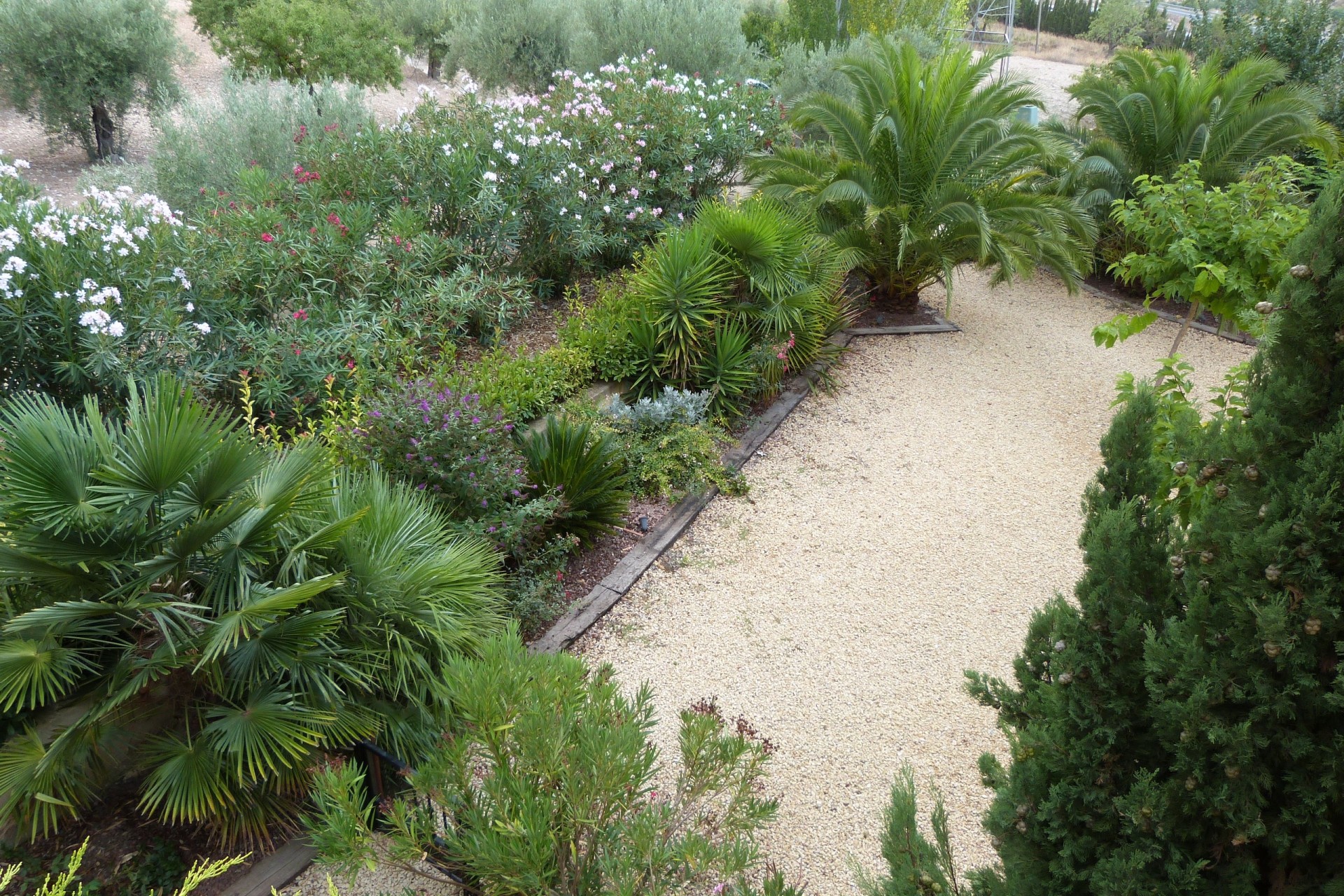 Venta - Finca Propiedad rural -
Ibi - Ibi - Country