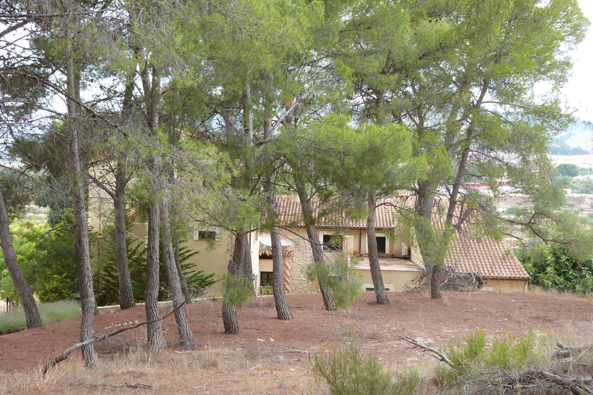 Venta - Finca Propiedad rural -
Ibi - Ibi - Country