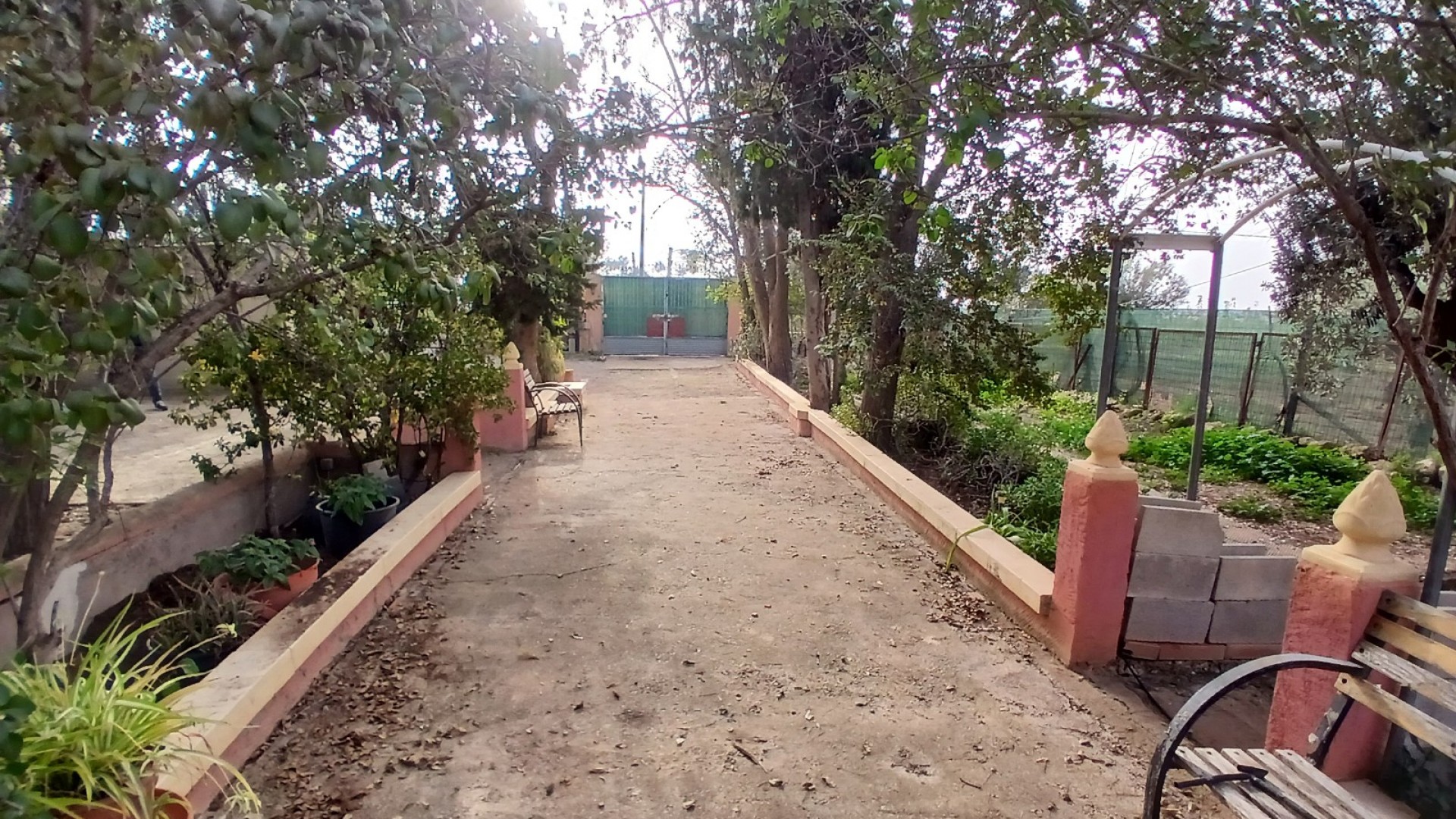 Venta - Finca Propiedad rural -
Jumilla