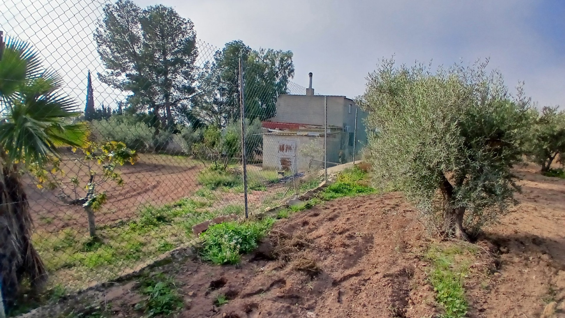 Venta - Finca Propiedad rural -
Jumilla