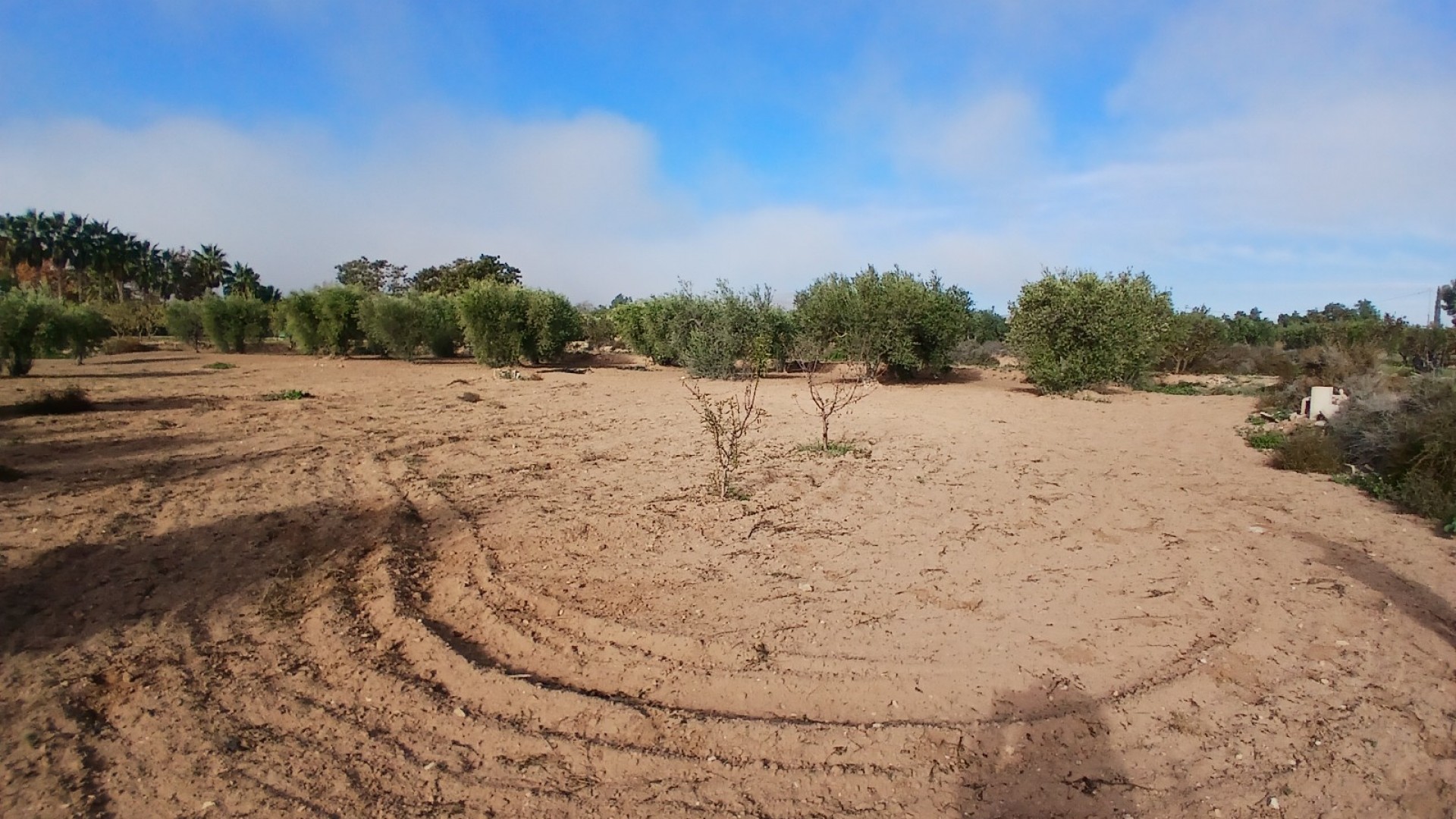 Venta - Finca Propiedad rural -
Jumilla