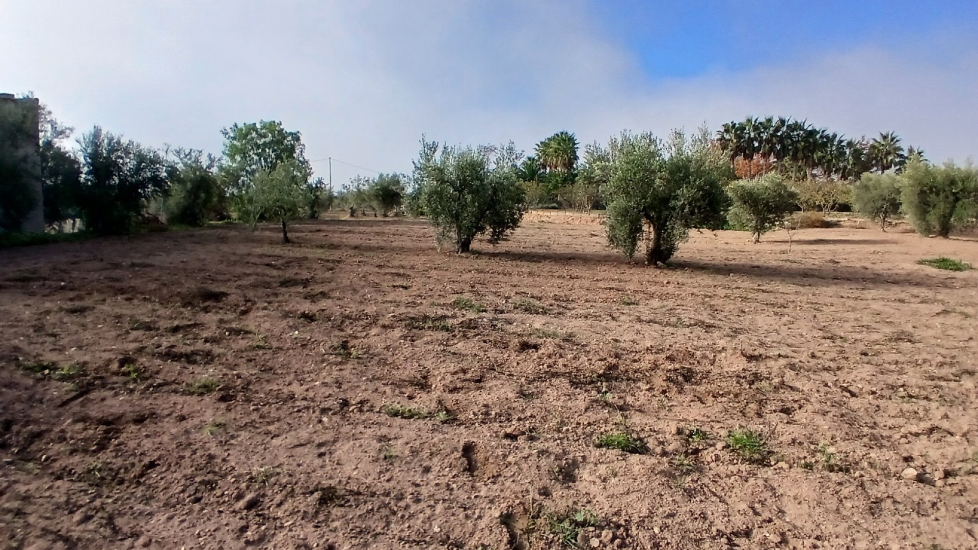 Venta - Finca Propiedad rural -
Jumilla