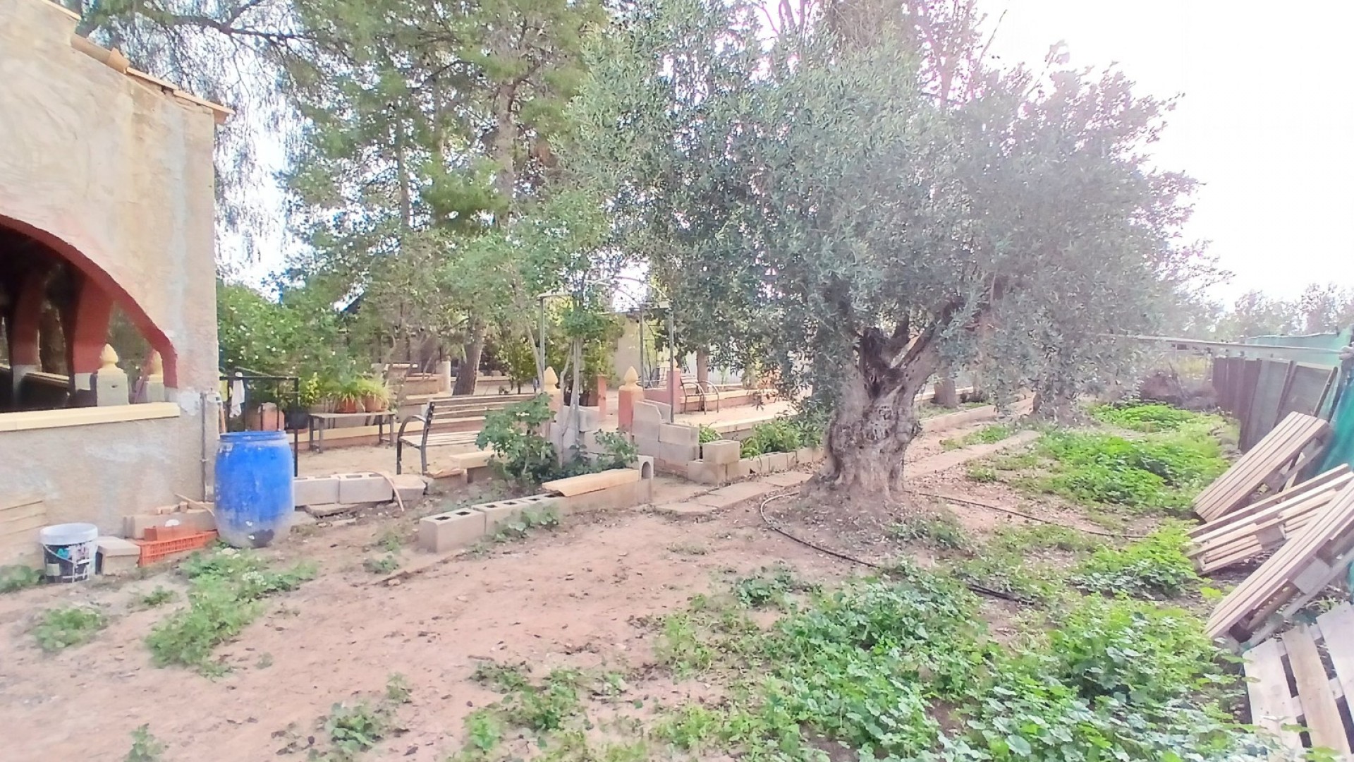 Venta - Finca Propiedad rural -
Jumilla