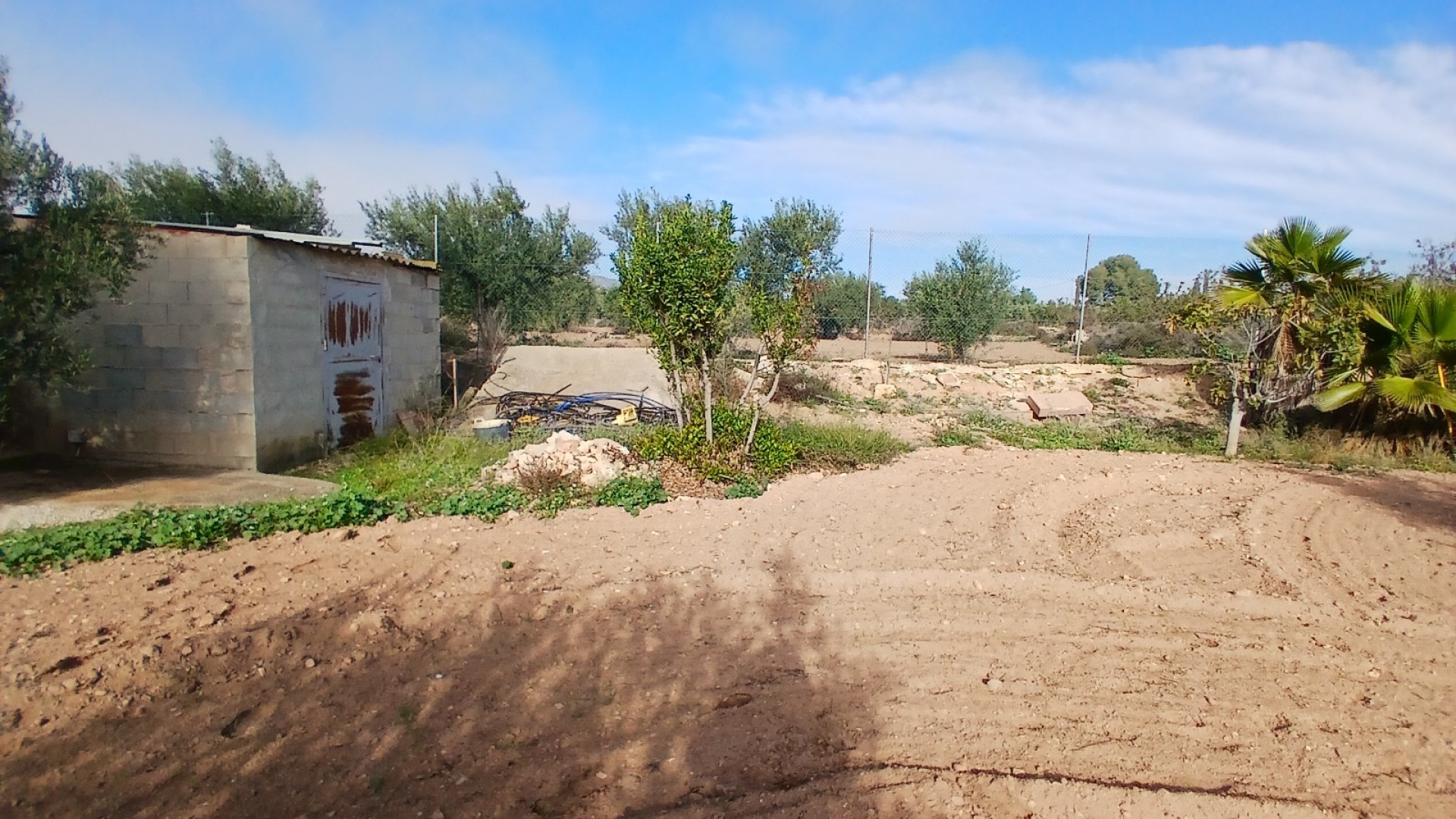 Venta - Finca Propiedad rural -
Jumilla