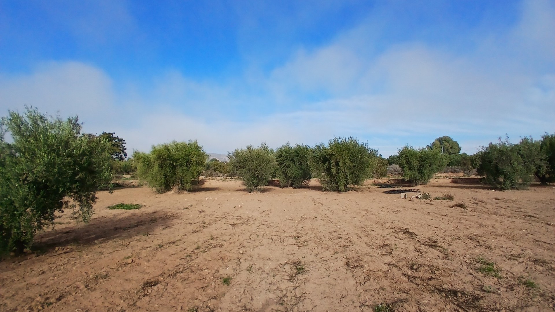 Venta - Finca Propiedad rural -
Jumilla