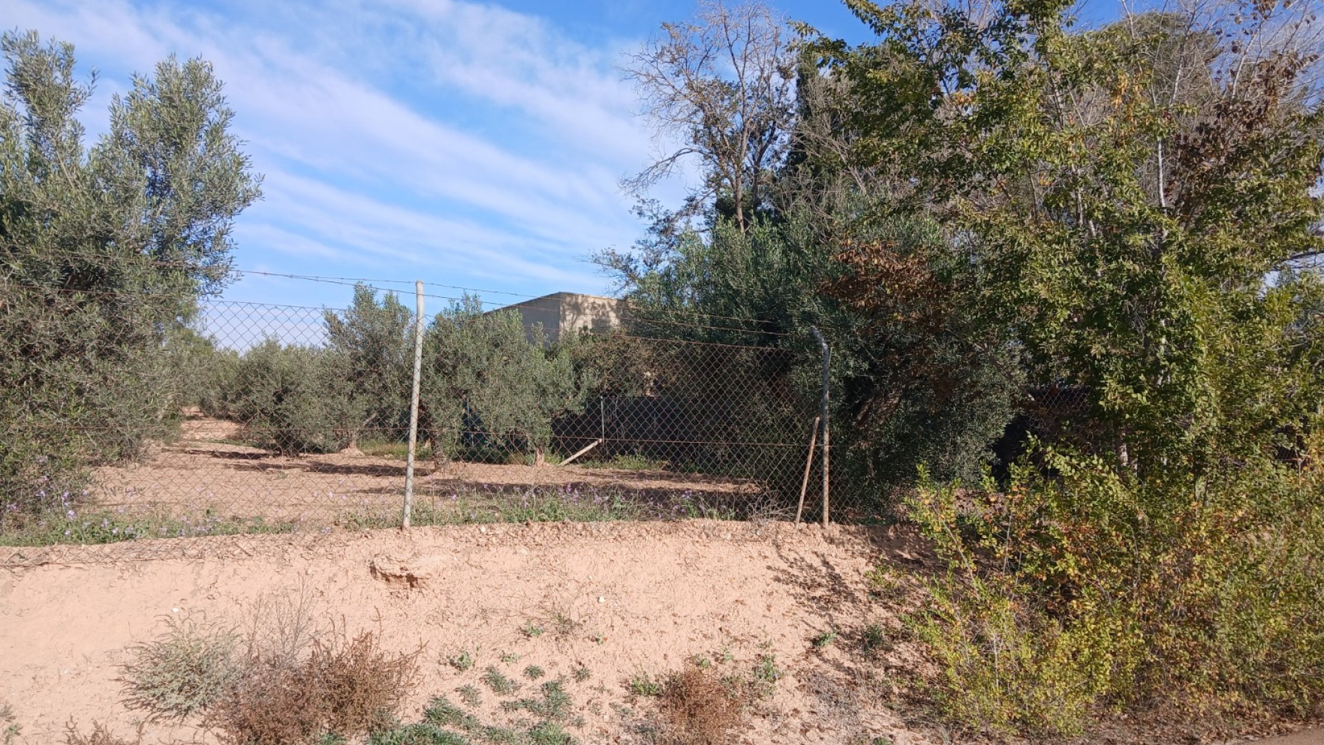Venta - Finca Propiedad rural -
Jumilla