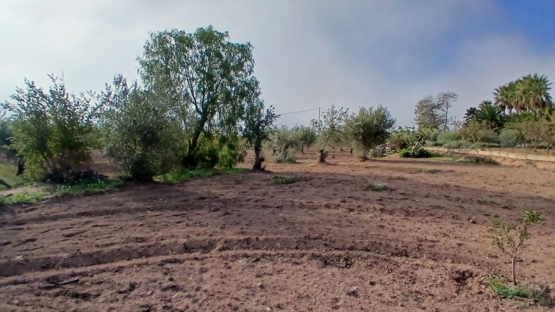 Venta - Finca Propiedad rural -
Jumilla