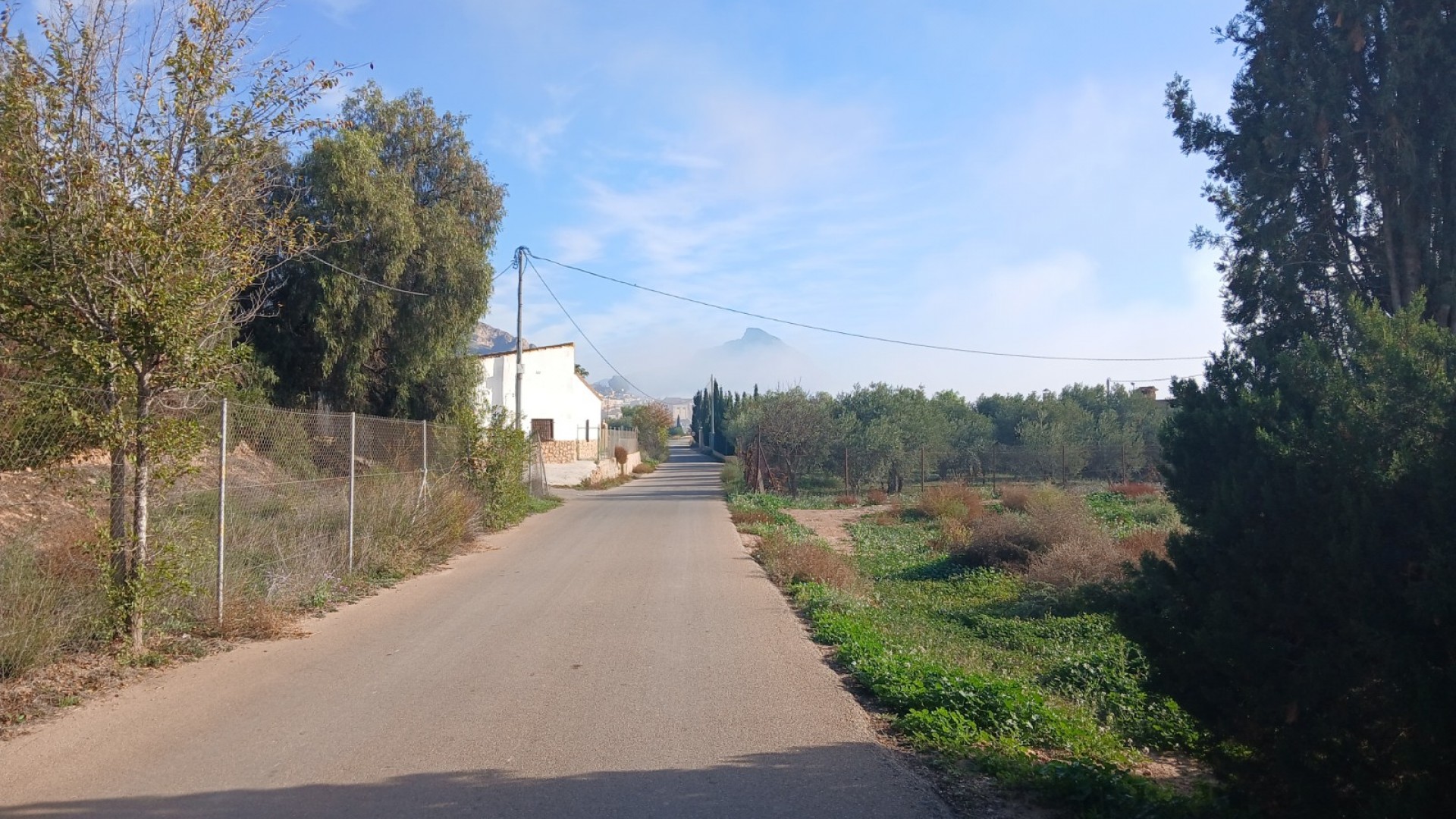 Venta - Finca Propiedad rural -
Jumilla