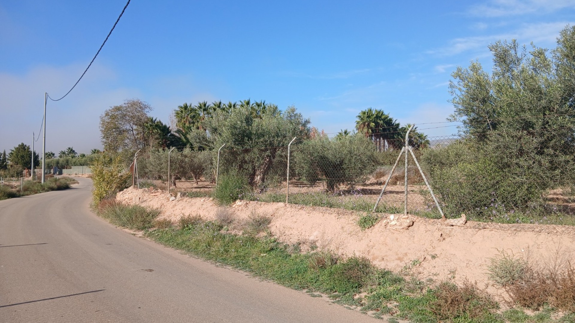 Venta - Finca Propiedad rural -
Jumilla