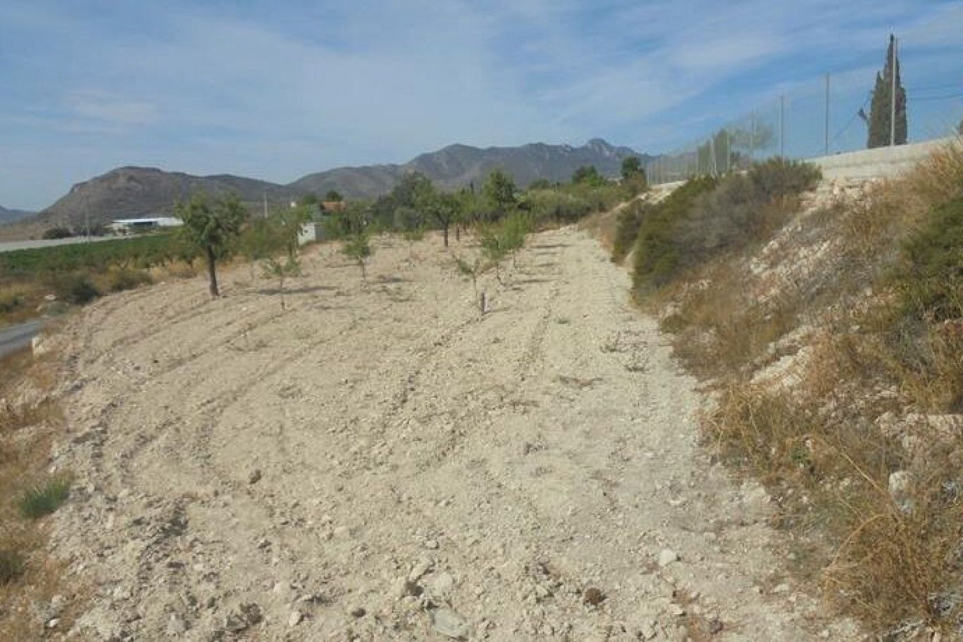 Venta - Finca Propiedad rural -
La Romana