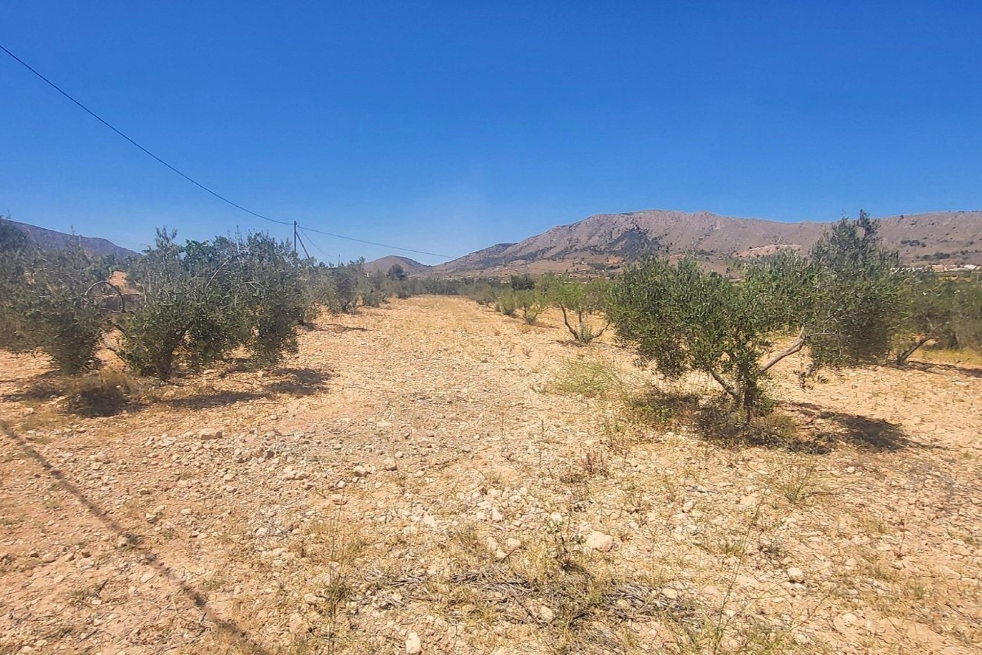 Venta - Finca Propiedad rural -
La Romana