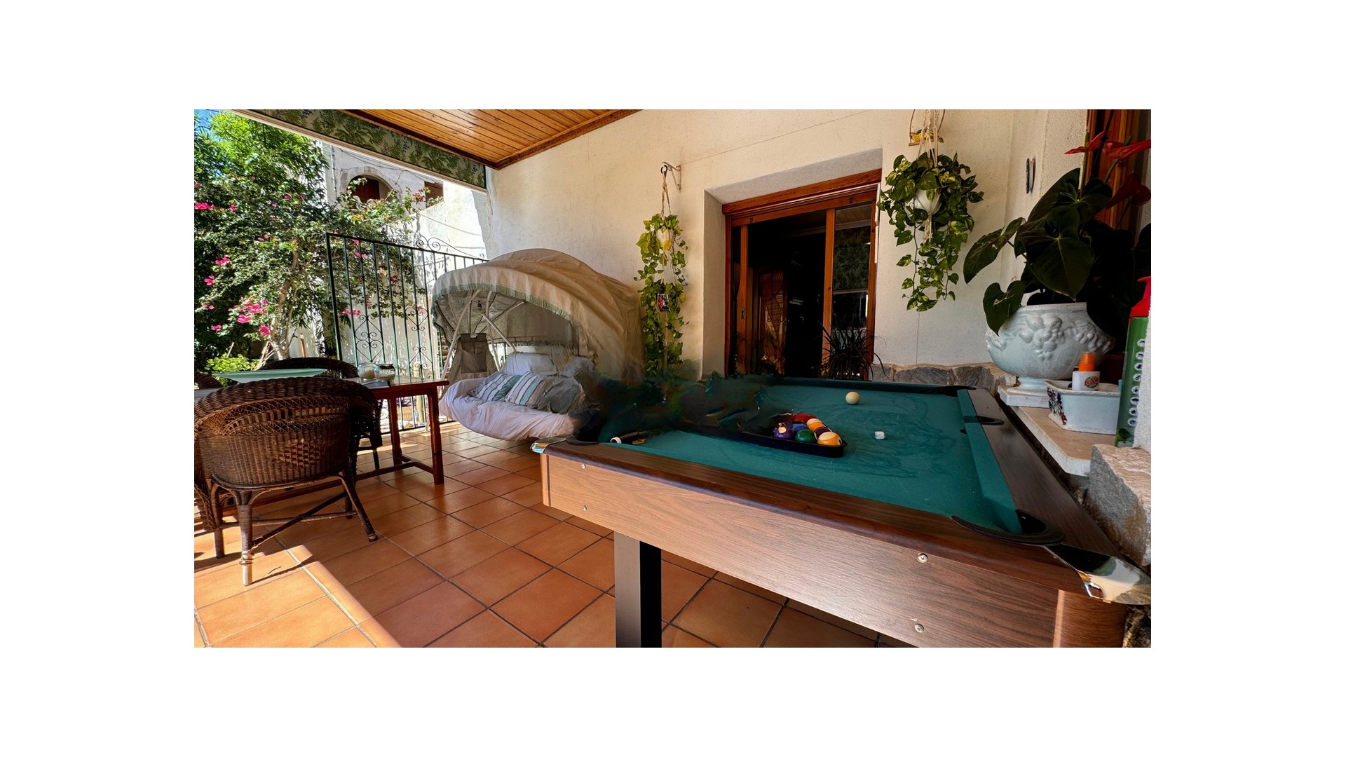 Venta - Finca Propiedad rural -
Monóvar