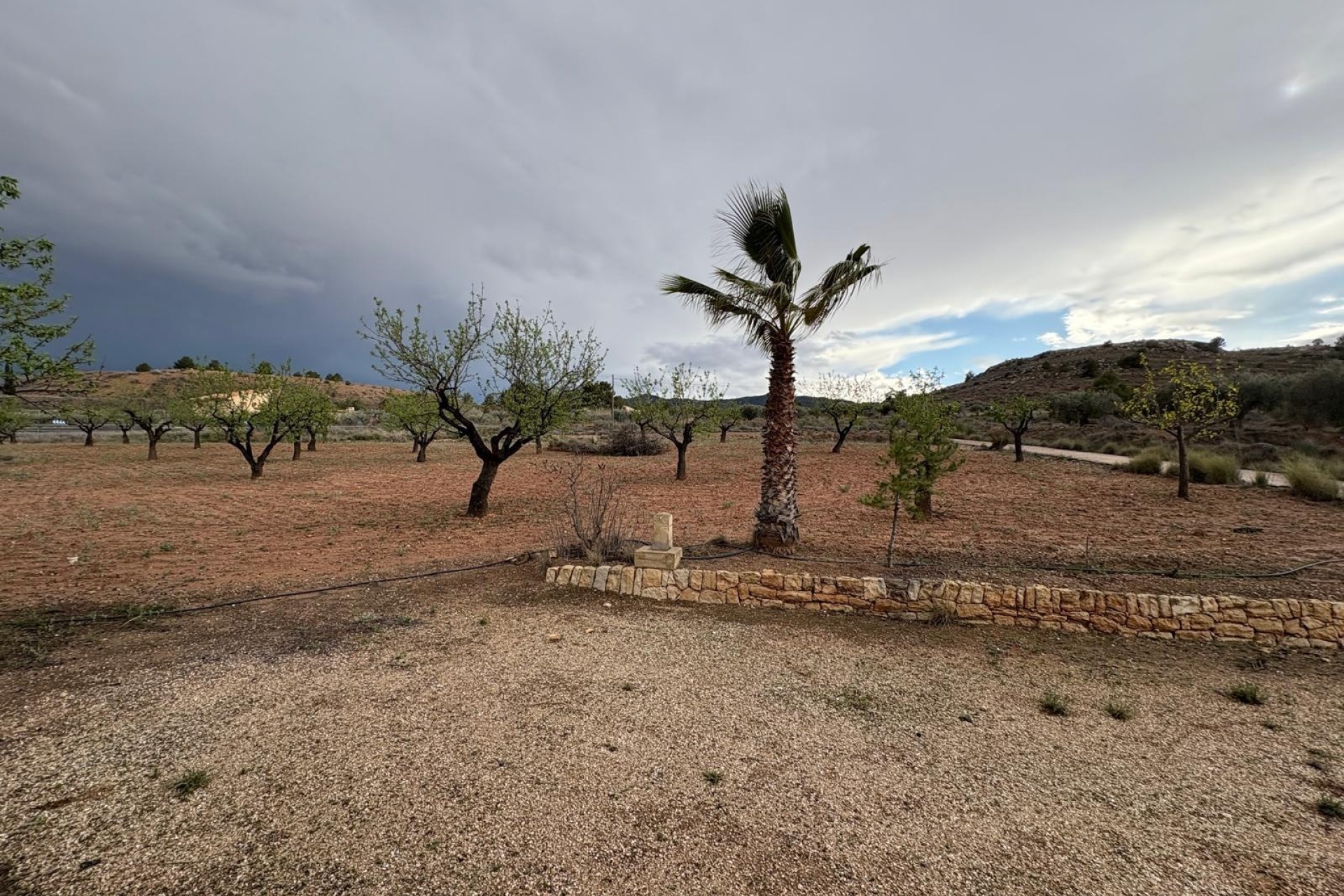 Venta - Finca Propiedad rural -
Monóvar