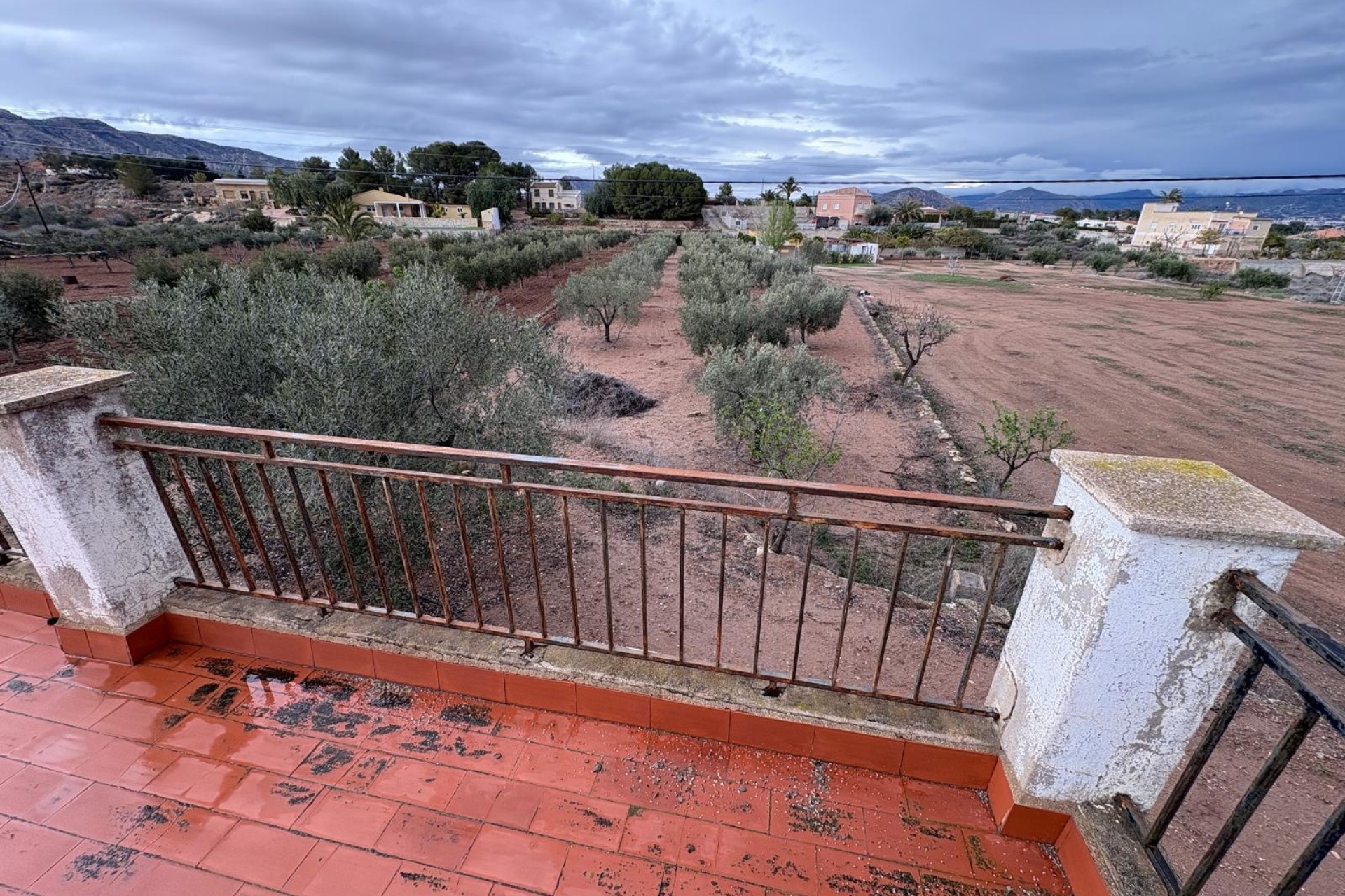 Venta - Finca Propiedad rural -
Monóvar