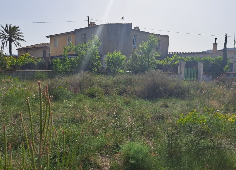 Venta - Finca Propiedad rural -
Monóvar
