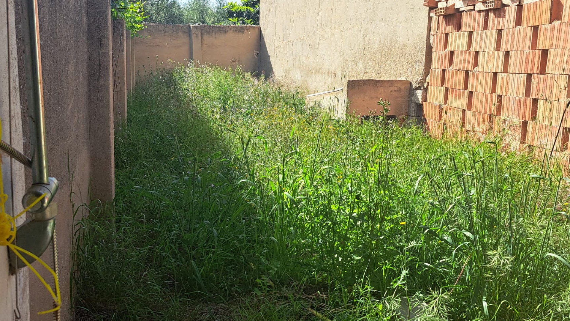 Venta - Finca Propiedad rural -
Monóvar